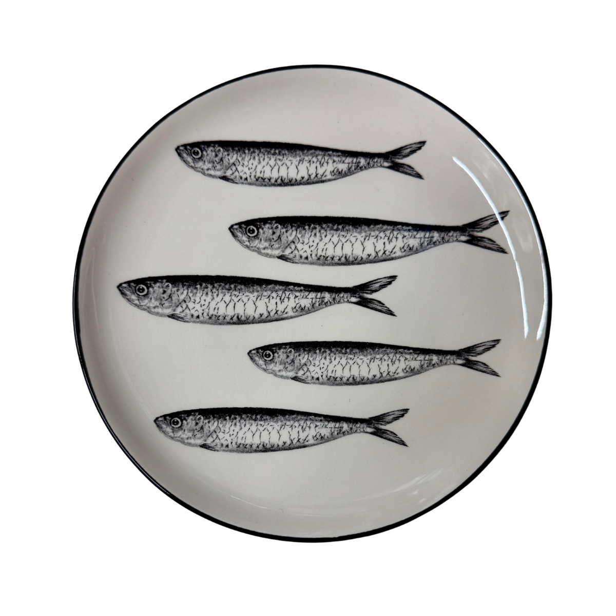 PRODUCTRESIZE-2025-02-