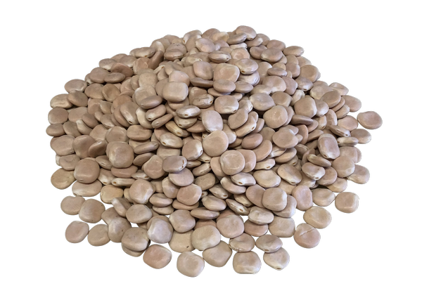 Dry Lupini Beans