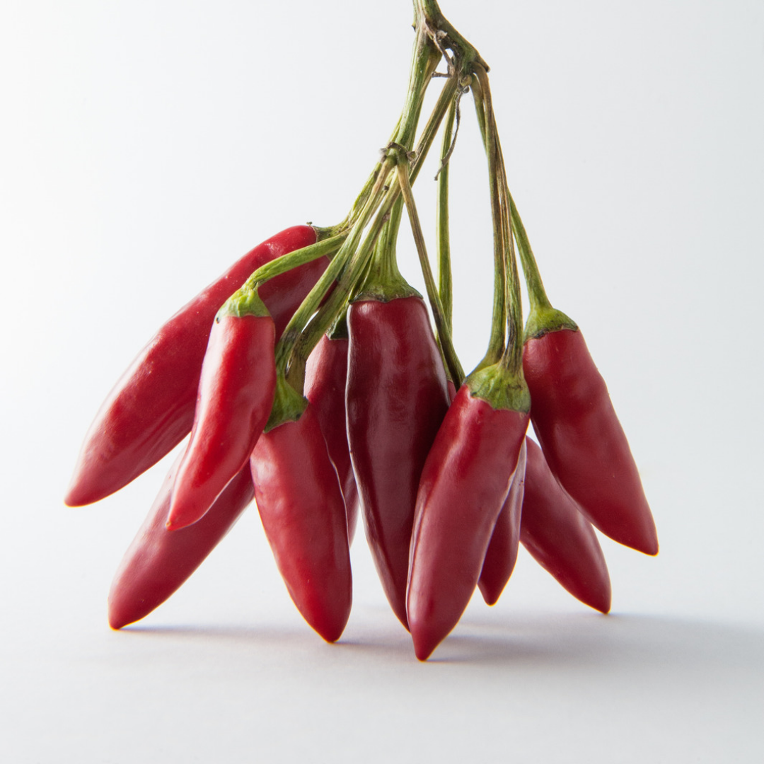 Piri-Piri