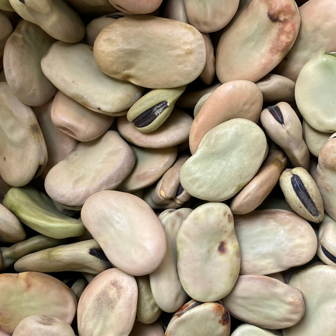 Dry Goods