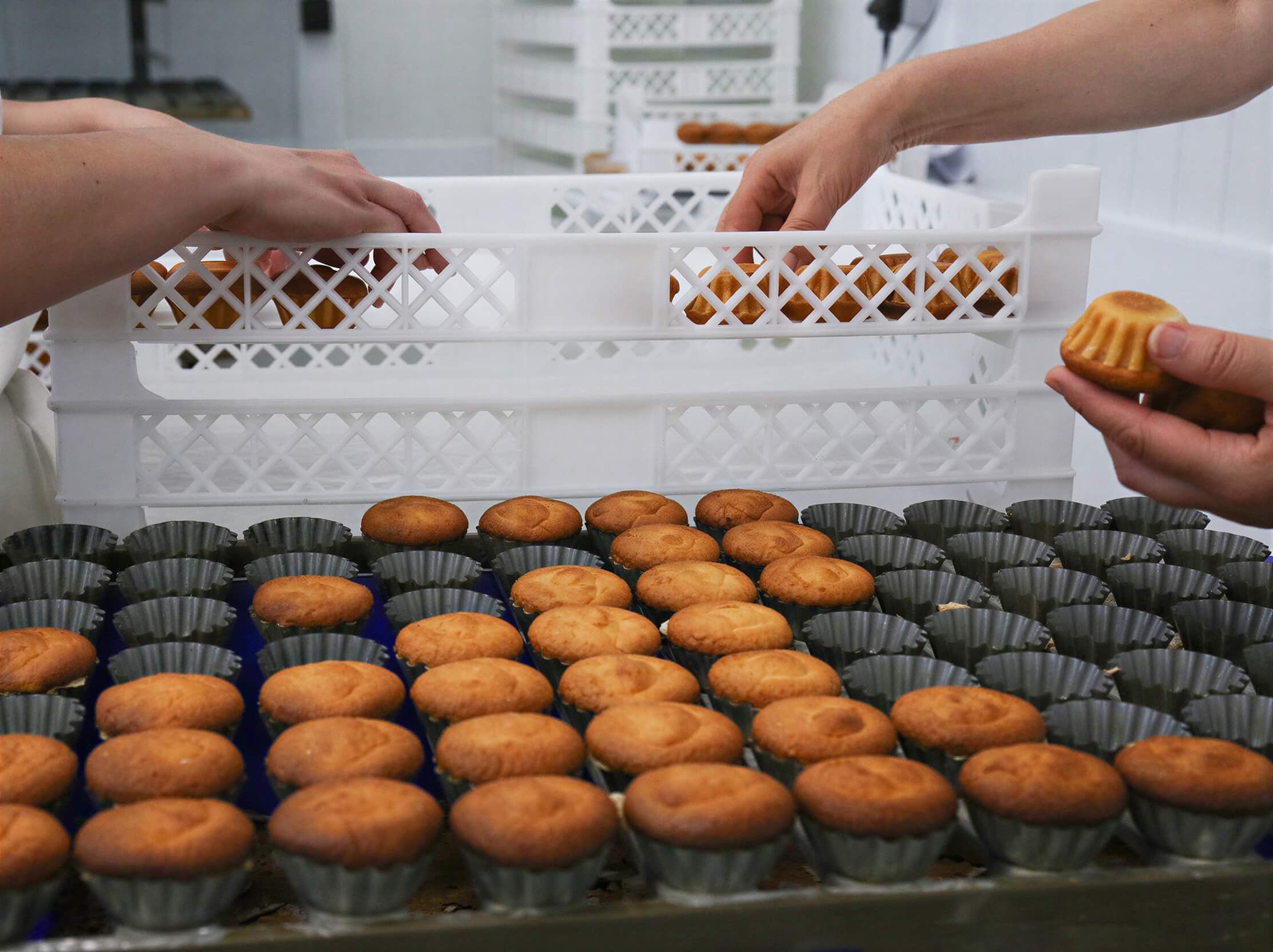 Workers making Queijadas De Vila Franca Do Campo Do Morgado Portuguese Custard Cakes
