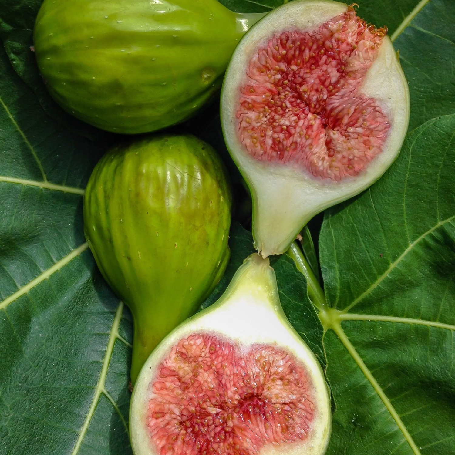 Quintal Dos Açores Fig Jam