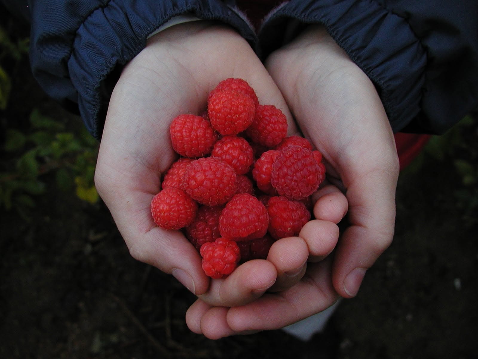 Beirabaga Raspberry Jam-270gr