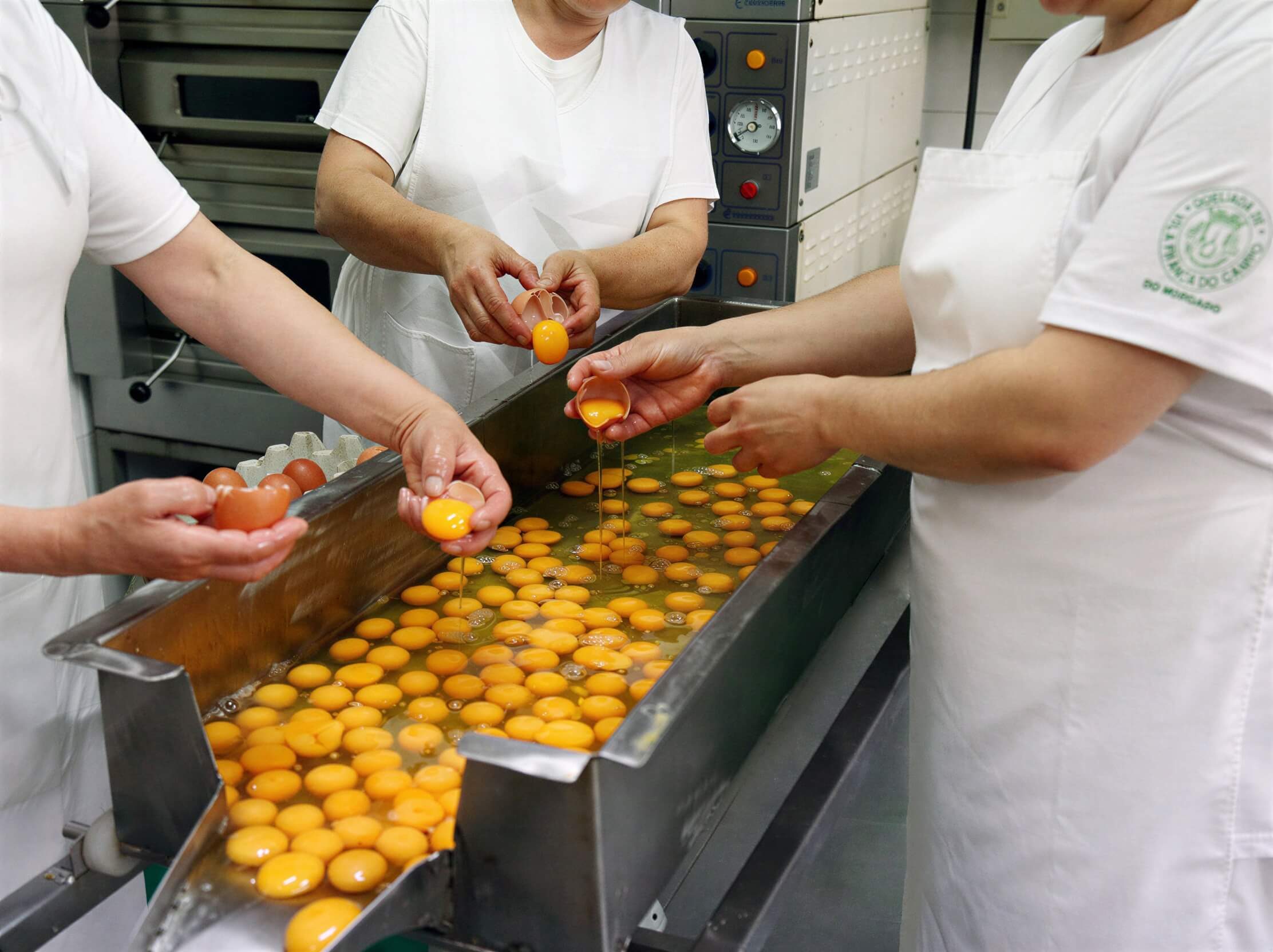 Workers adding eggs to Queijadas De Vila Franca Do Campo Do Morgado Portuguese Custard Cakes in the factory