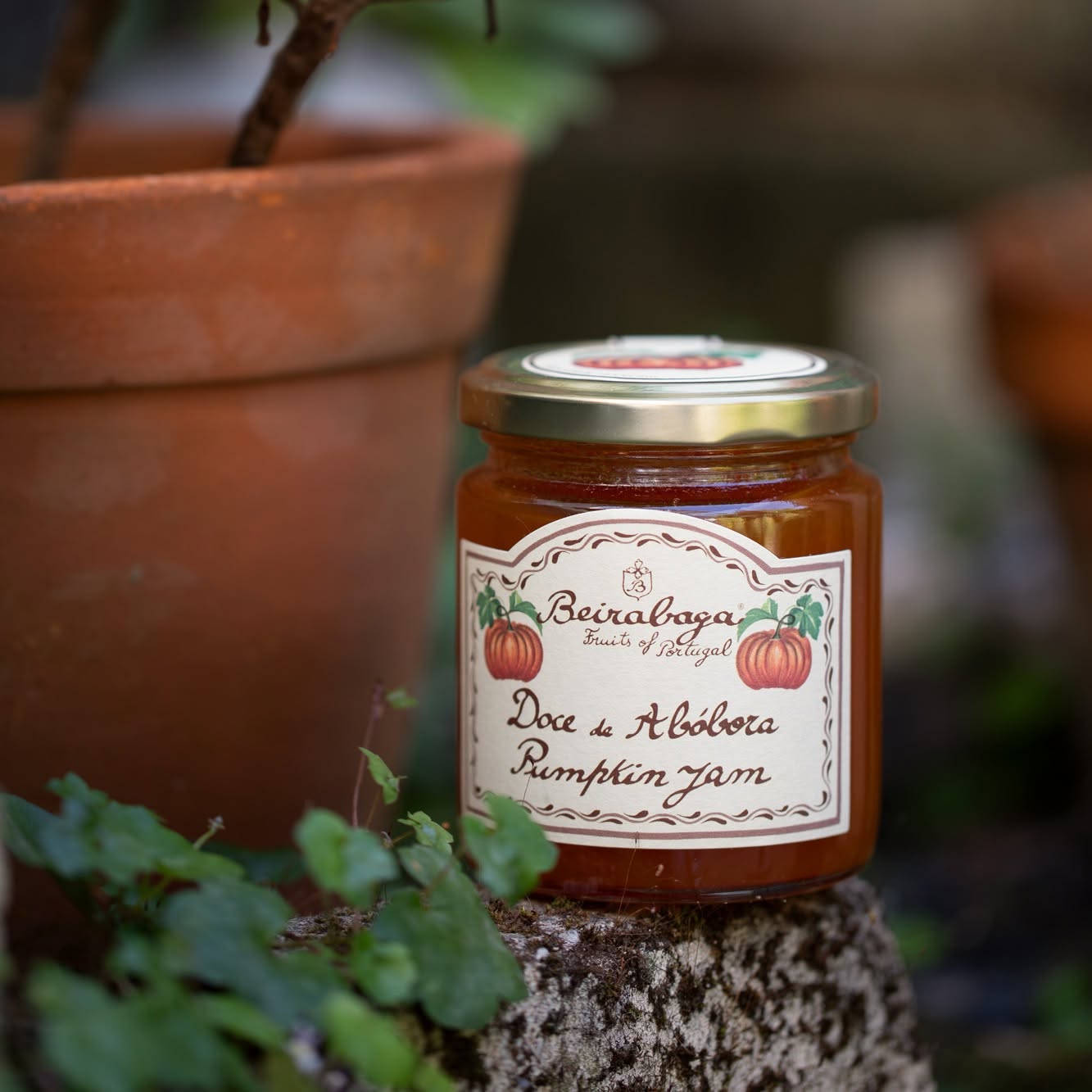 Beirabaga Pumpkin Jam-270gr