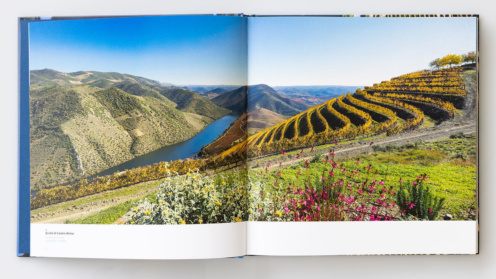 Amazing Douro (Multilingual Version)