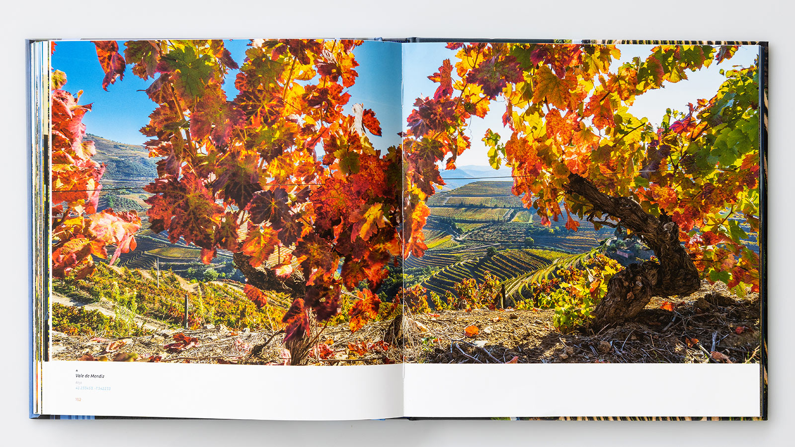 Amazing Douro (Multilingual Version)