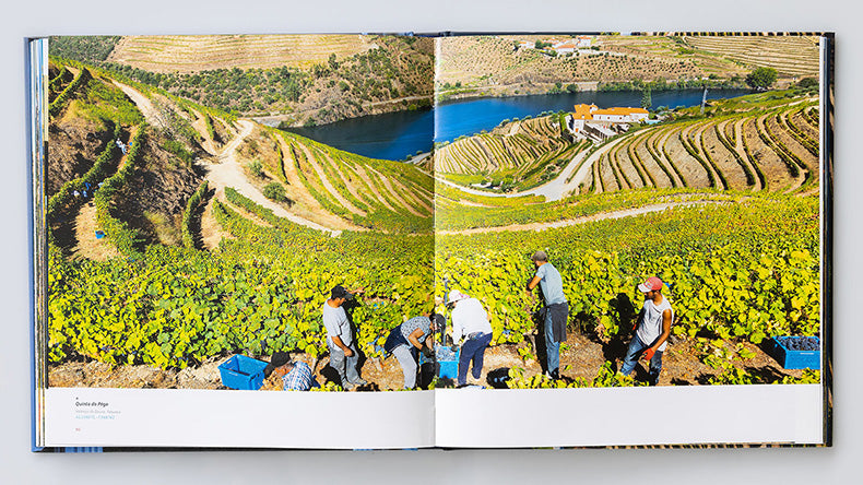Amazing Douro (Multilingual Version)