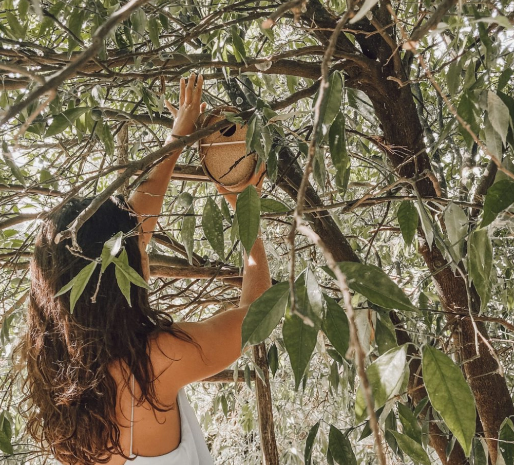 Minimal Cork Outdoor Bird Nest - Bird Sweet Bird