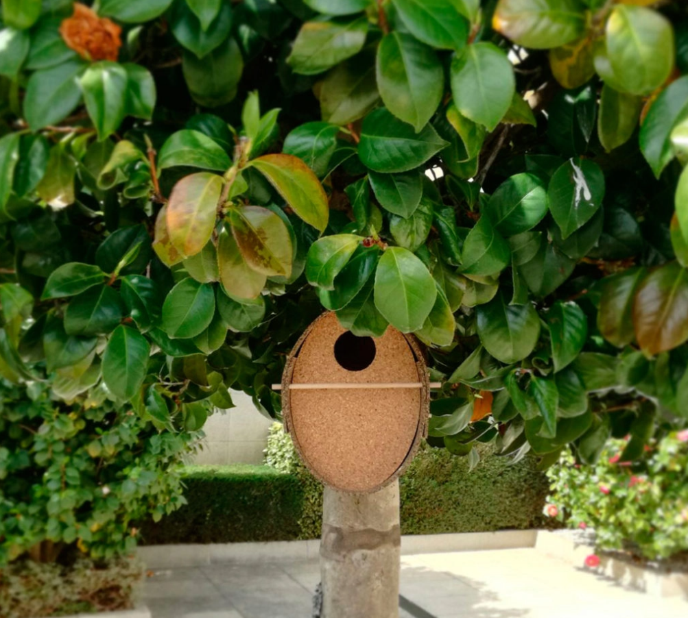 Minimal Cork Outdoor Bird Nest - Bird Sweet Bird