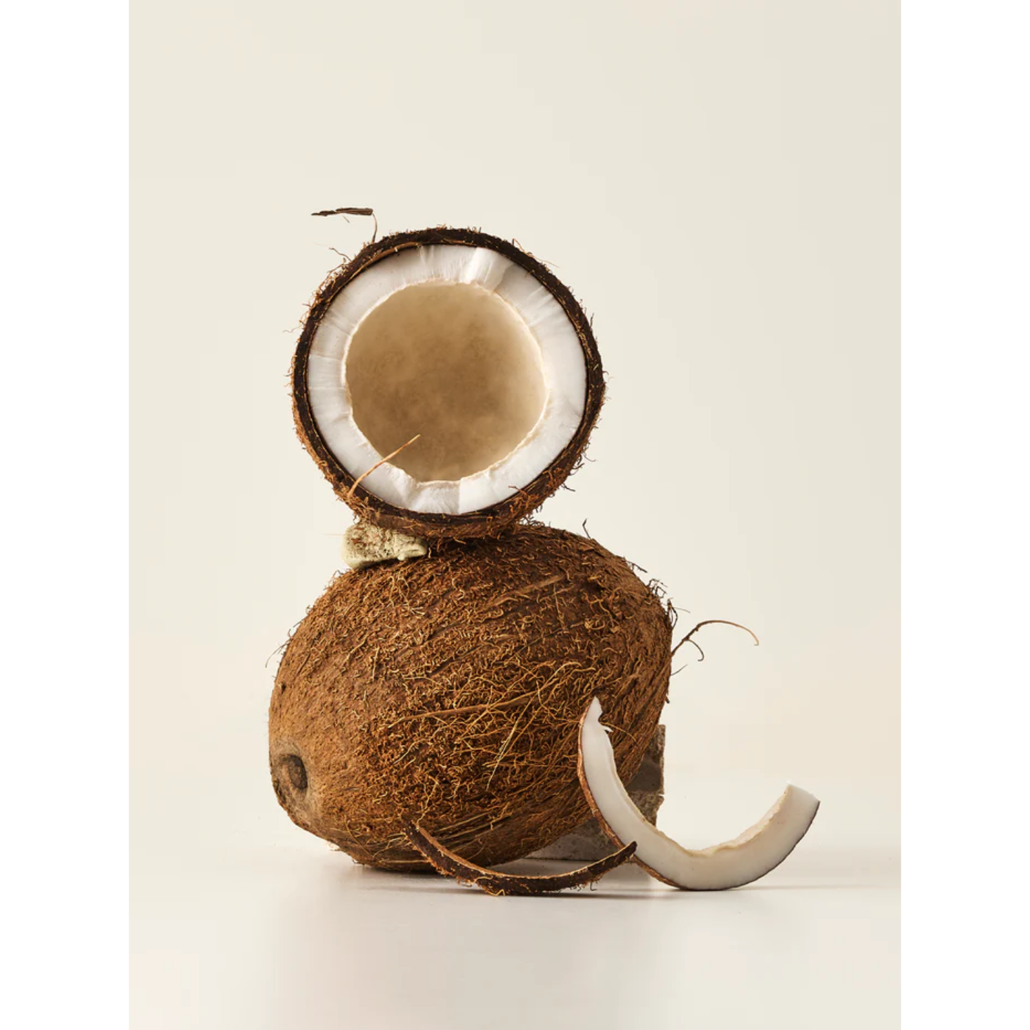 Coconut with a piece missing on a white background