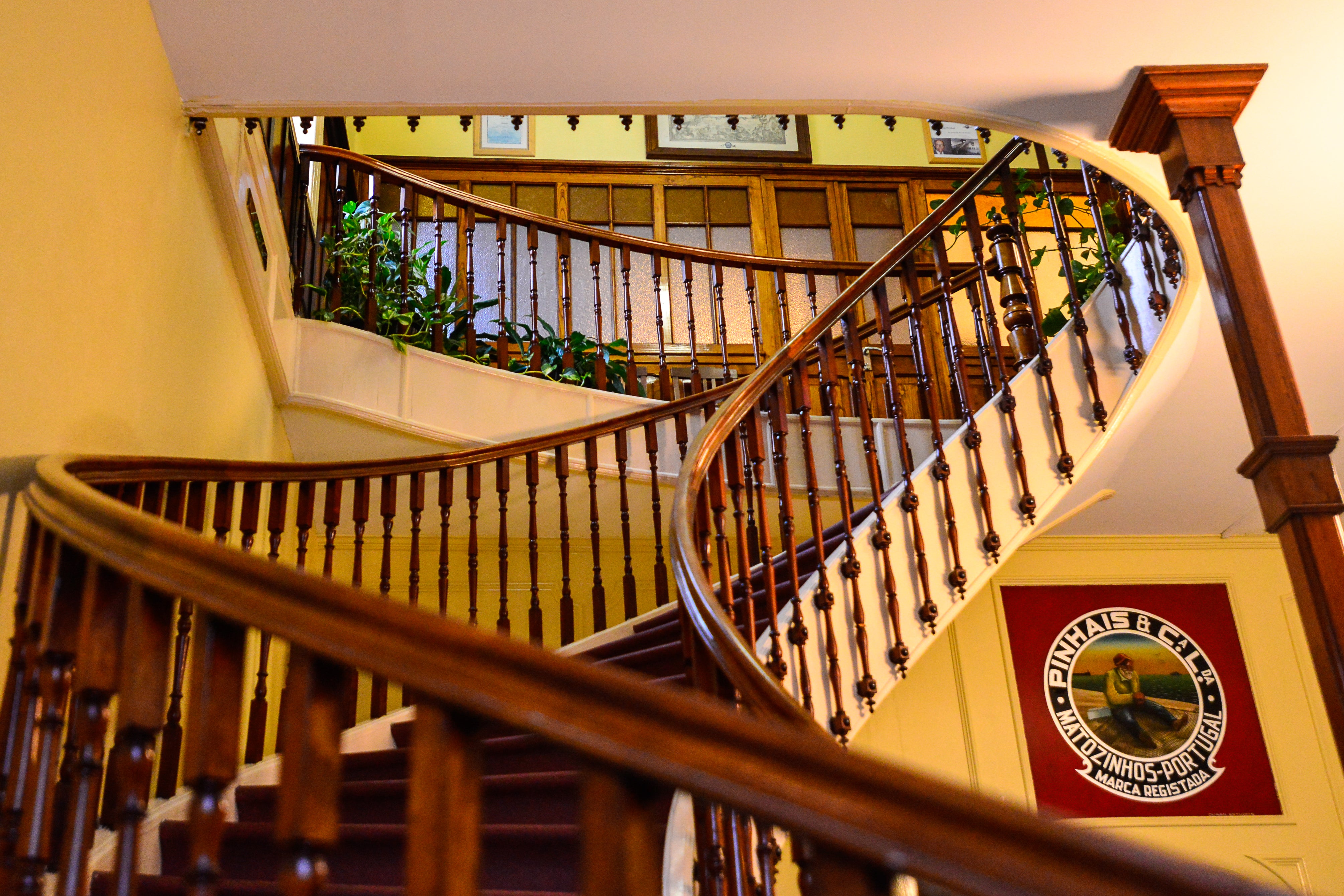 Pinhais Sardines in Tomato Sauce