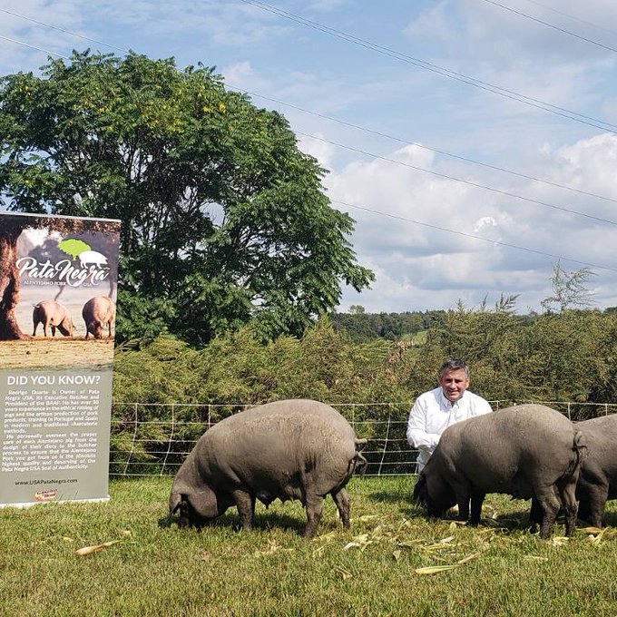 Don Rodrigo Sliced Presunto - Puro Alentejano