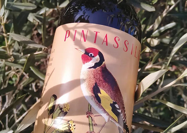 Pintassilgo Extra Virgin Olive Oil