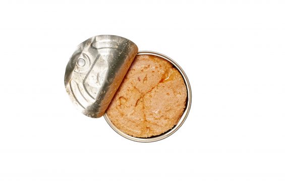 Jose Gourmet Mackerel Pate