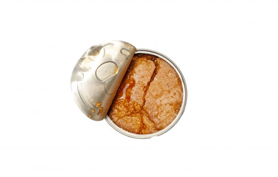 Jose Gourmet Tuna Pate