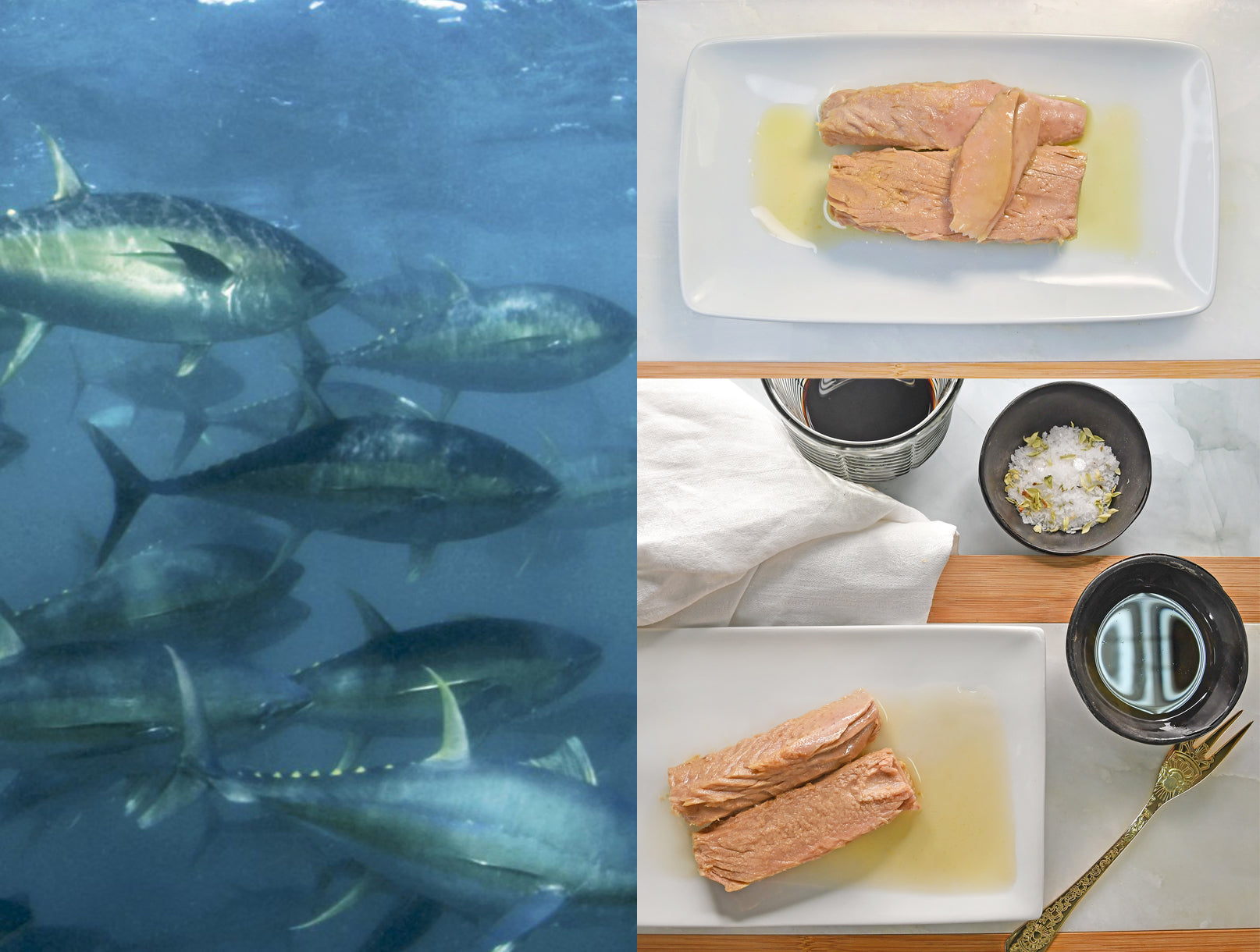 Minerva Tuna Fillets in Olive Oil