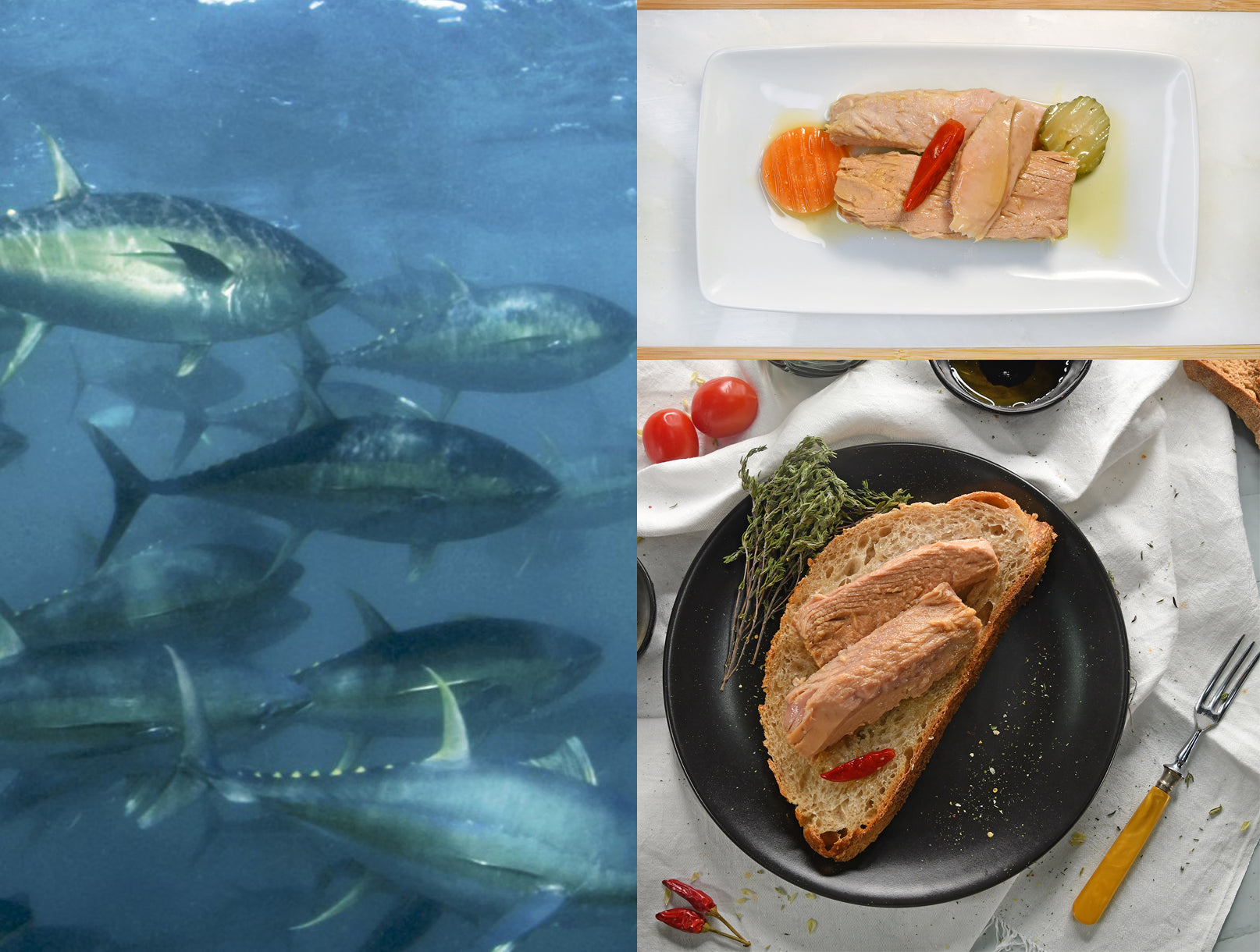 Minerva Tuna Fillets in Spiced Olive Oil
