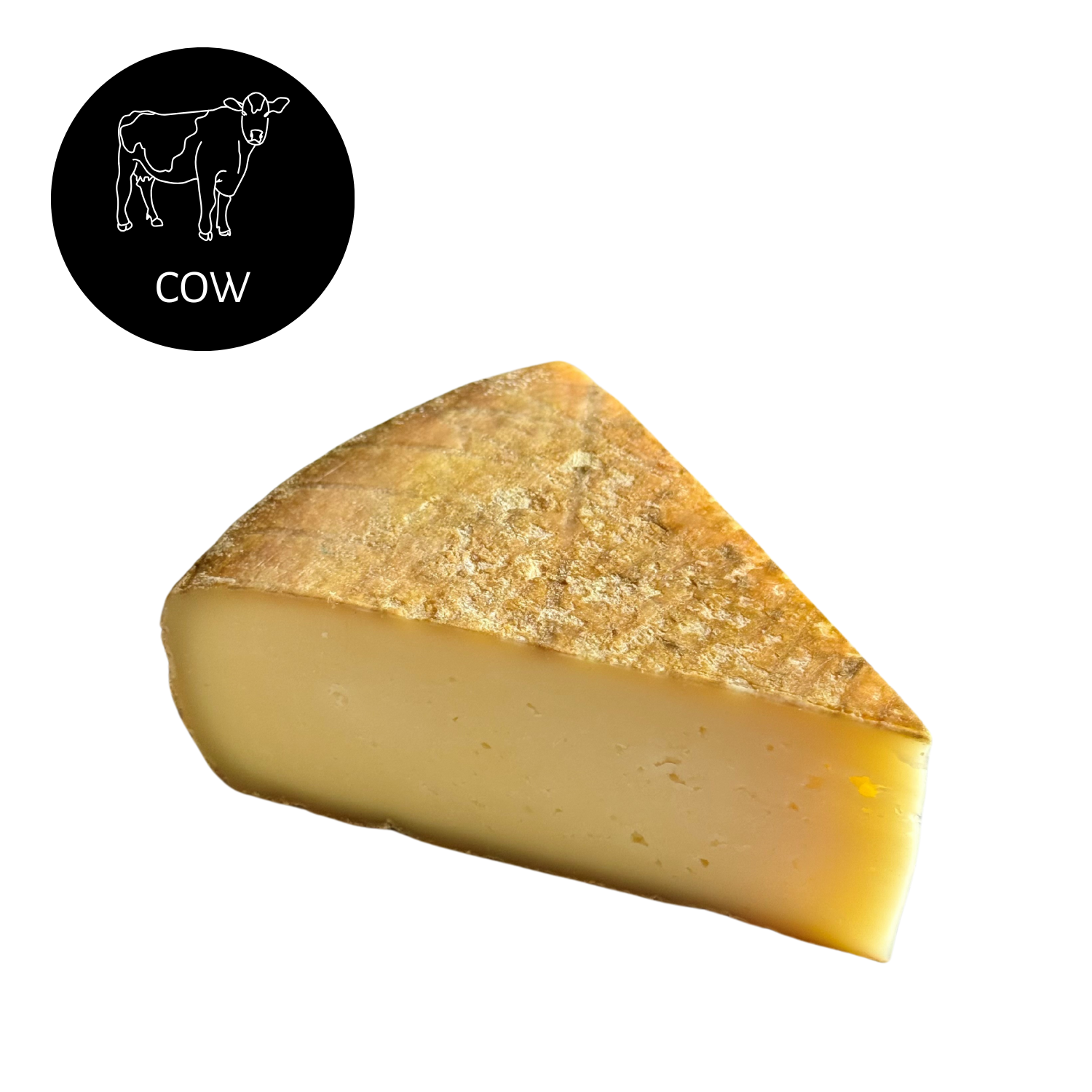 Ortodoxo Grande do Viso Cheese