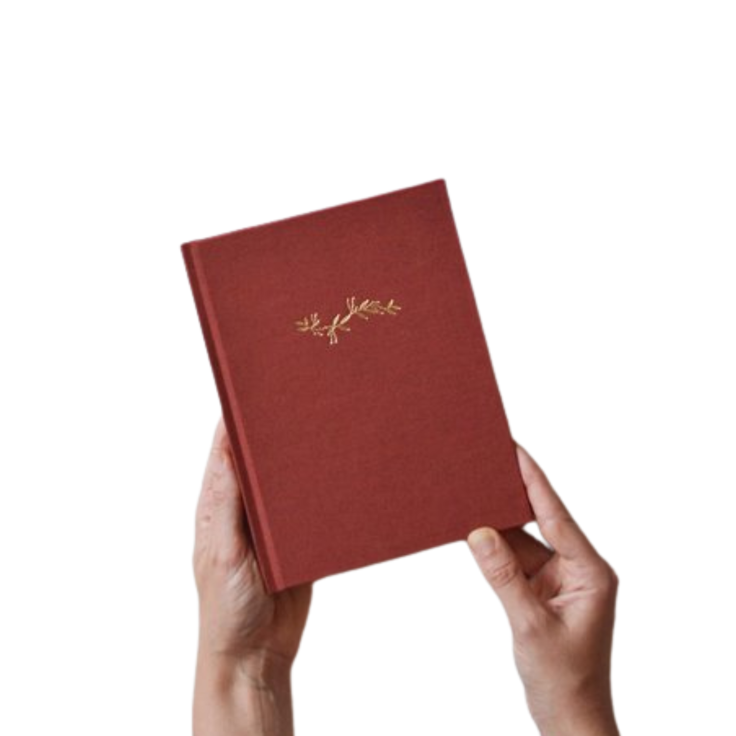 Beija-Flor Notebook - Verde Ouro Collection