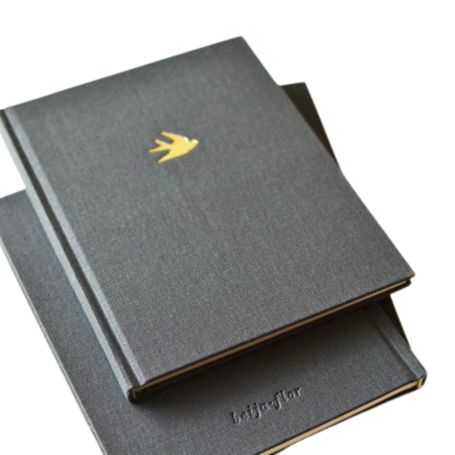 Beija-Flor Notebook - Swallow Collection