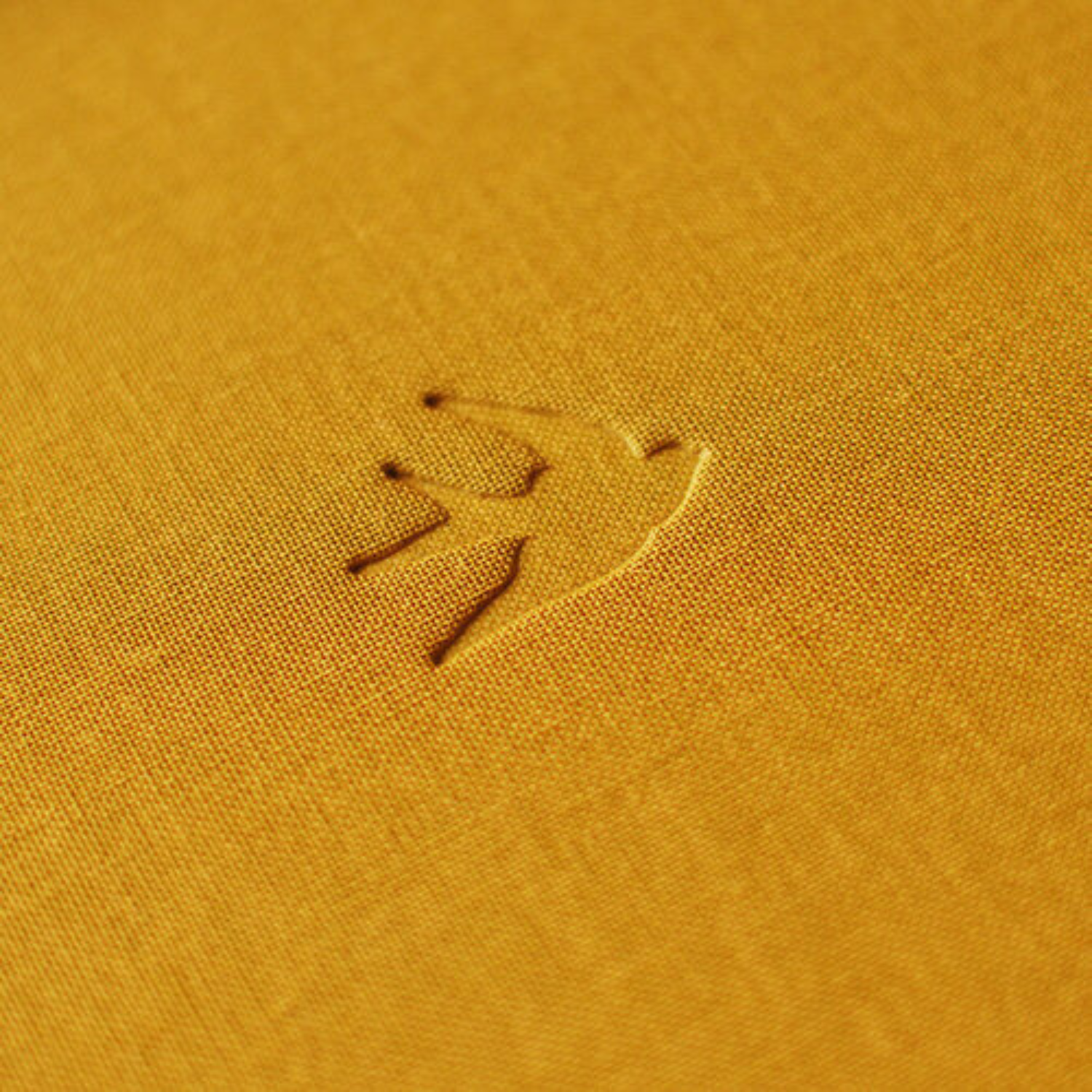 Beija-Flor Notebook - Swallow Collection