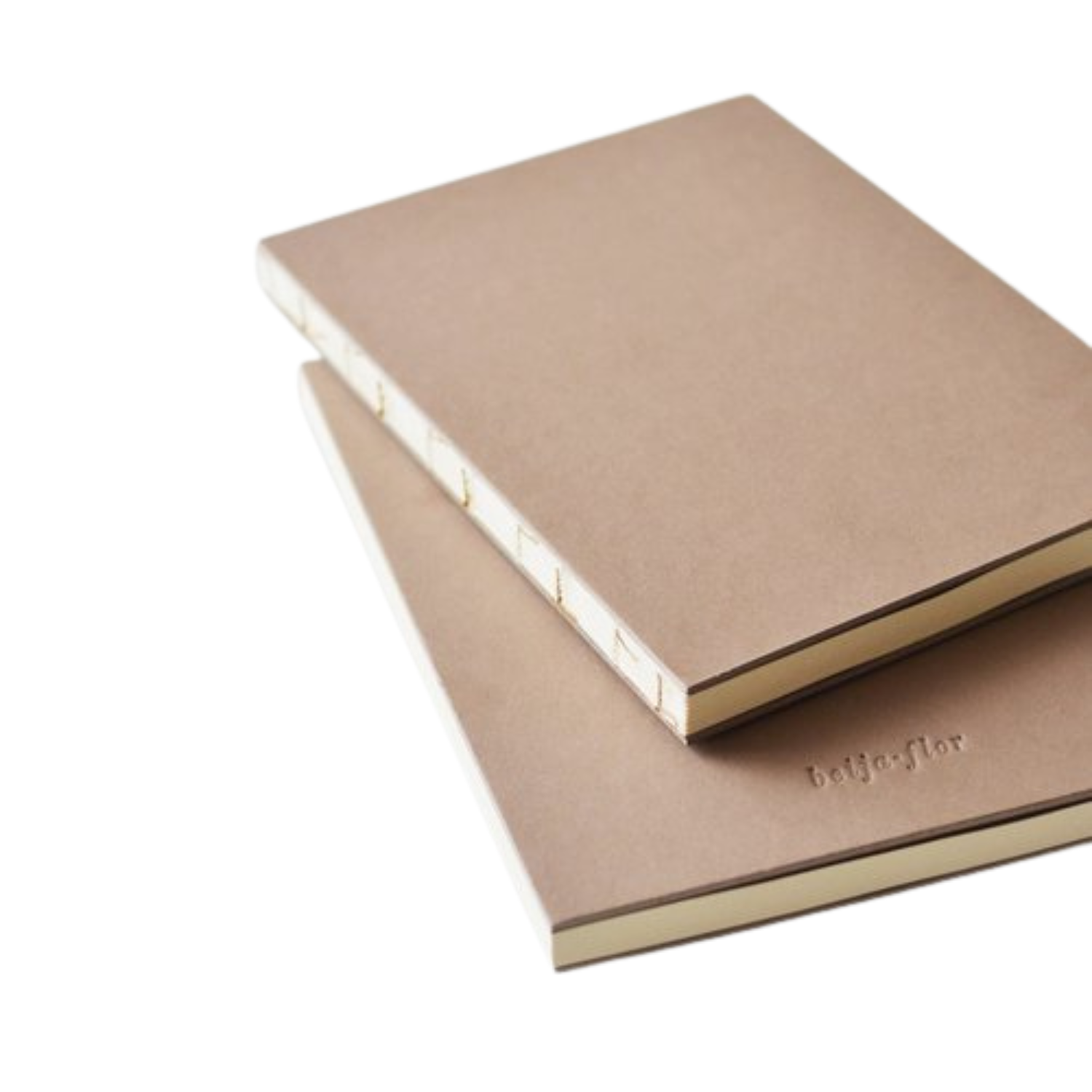 Beija-Flor Notebook - Basic