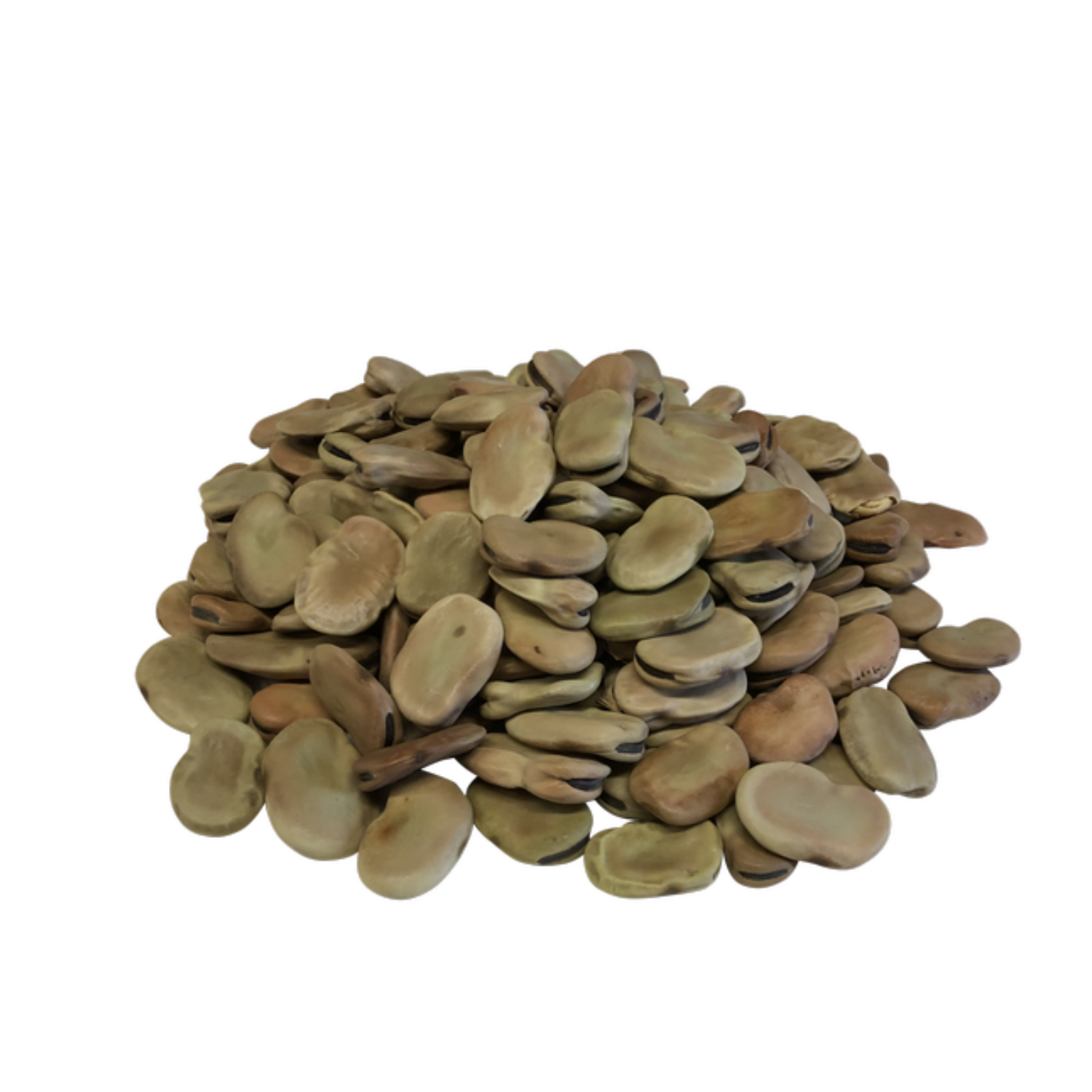 Dry Fava Beans