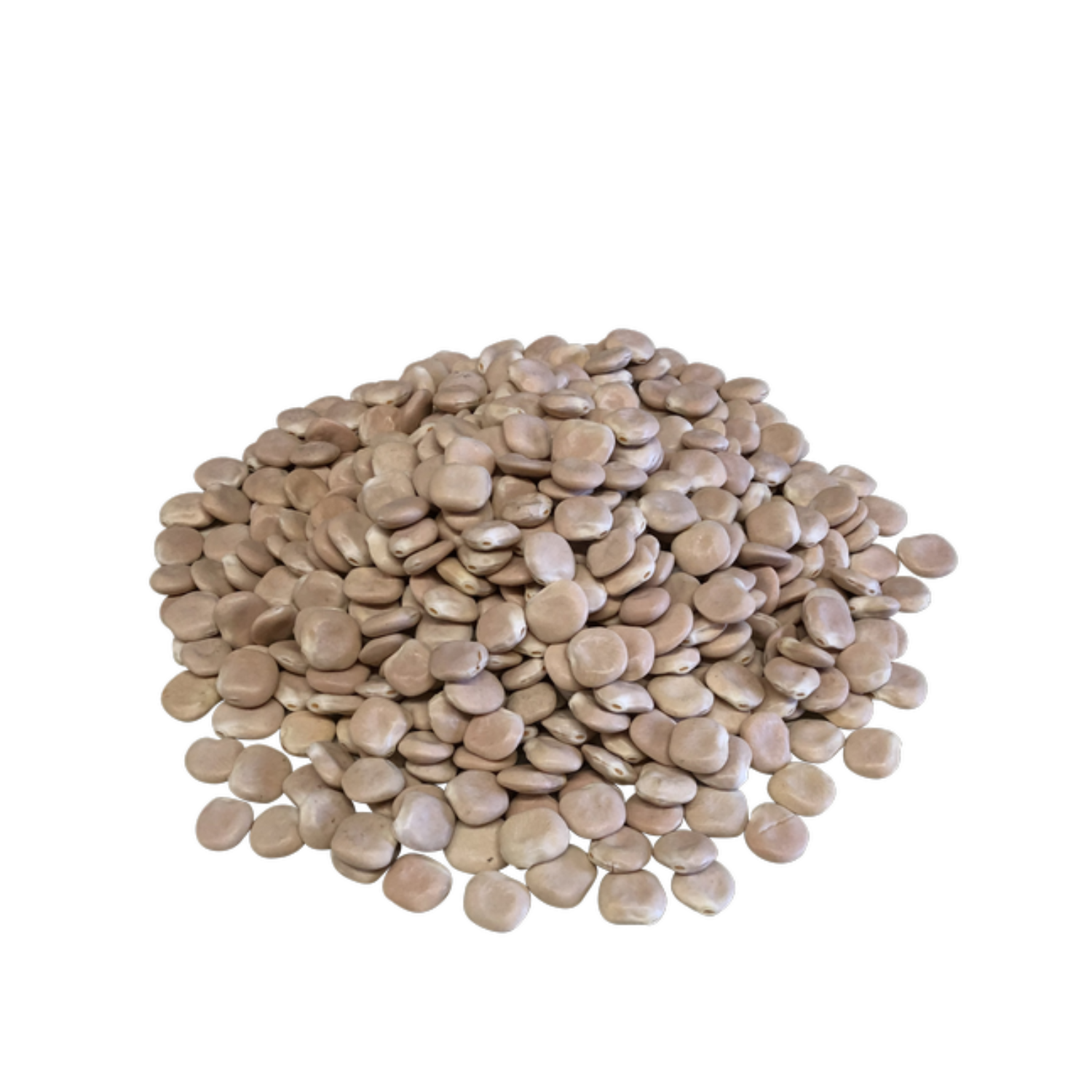 Dry Lupini Beans
