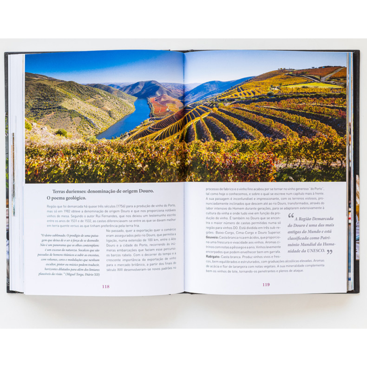 Bread, Olive Oil & Wine - A Mediterranean Trilogy