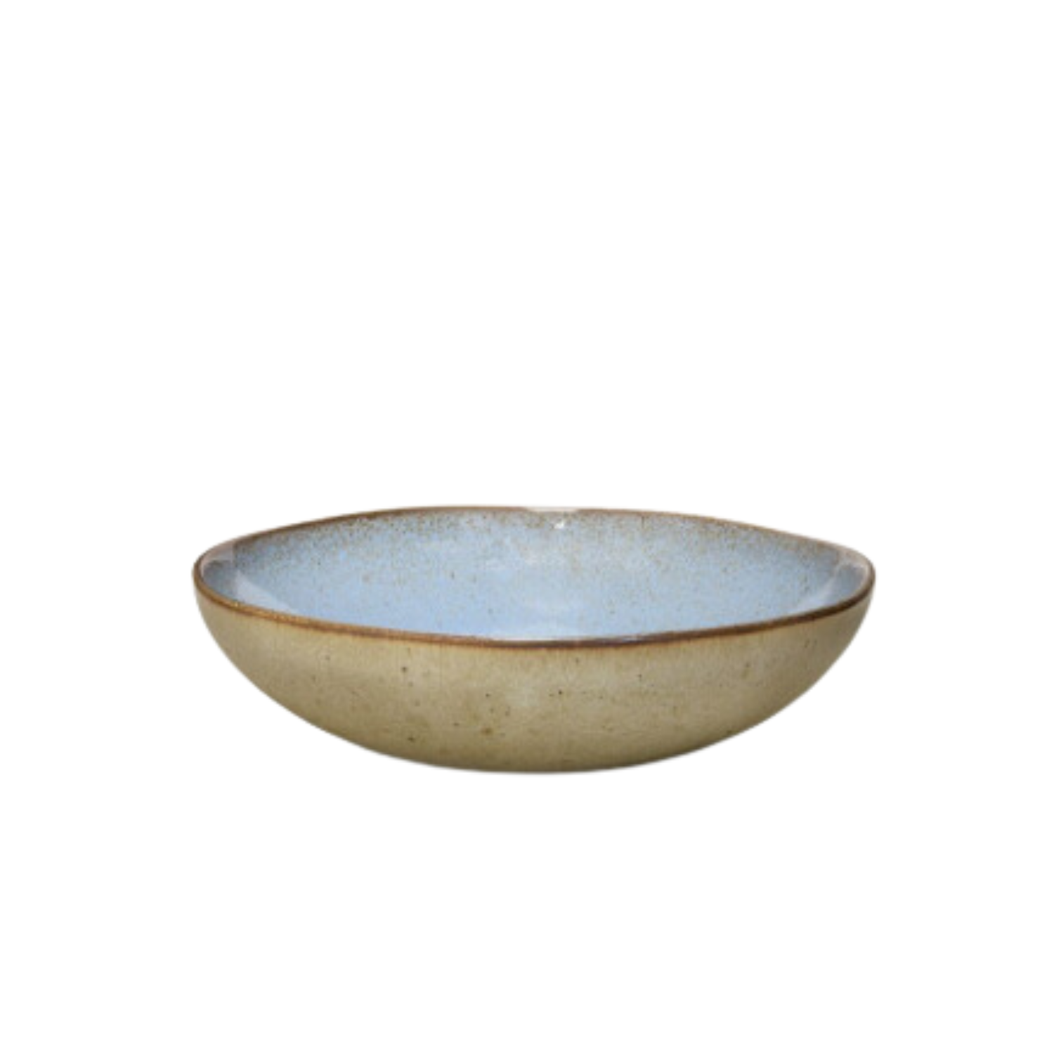 Terrafina Light Blue Flower Seeds Pasta/Soup Plate - Set of 4