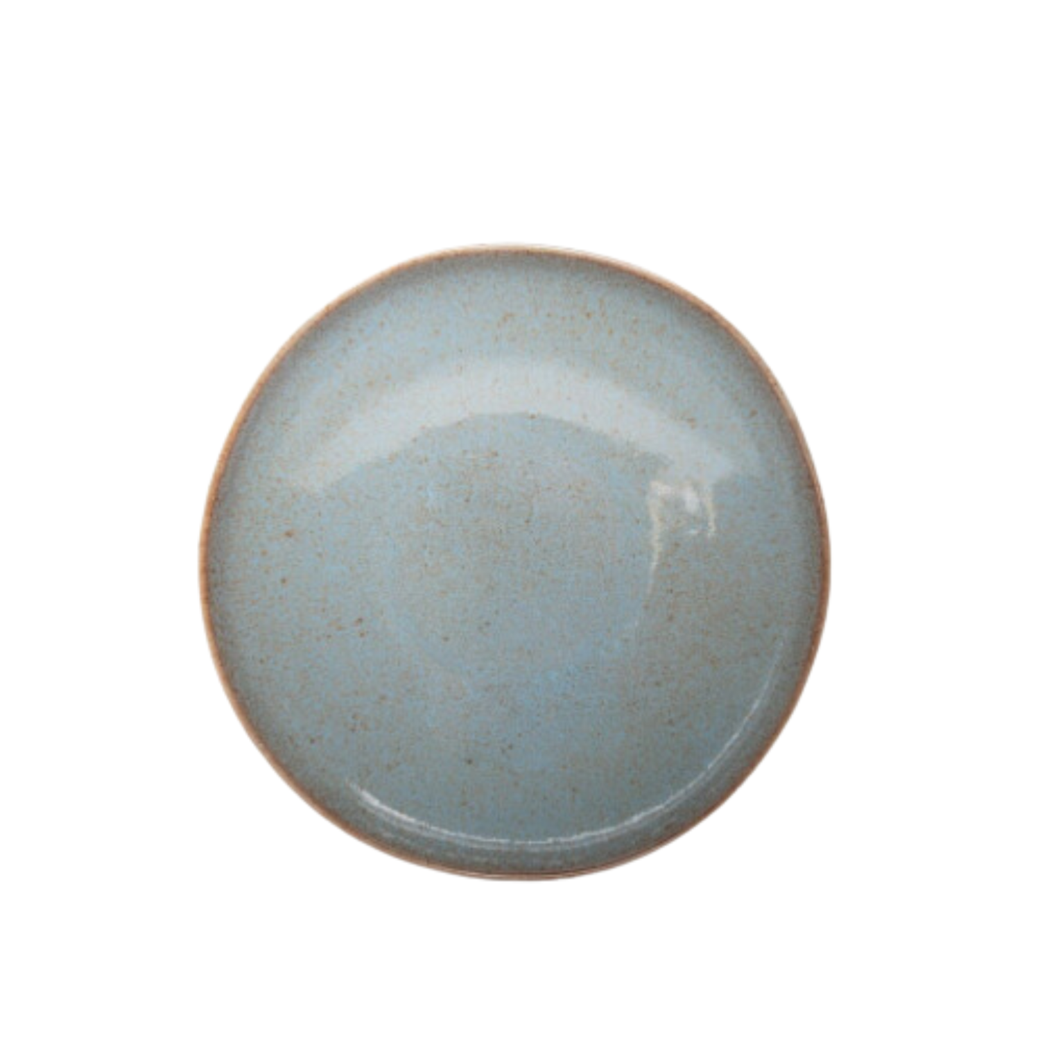 Terrafina Light Blue Flower Seeds Pasta/Soup Plate - Set of 4