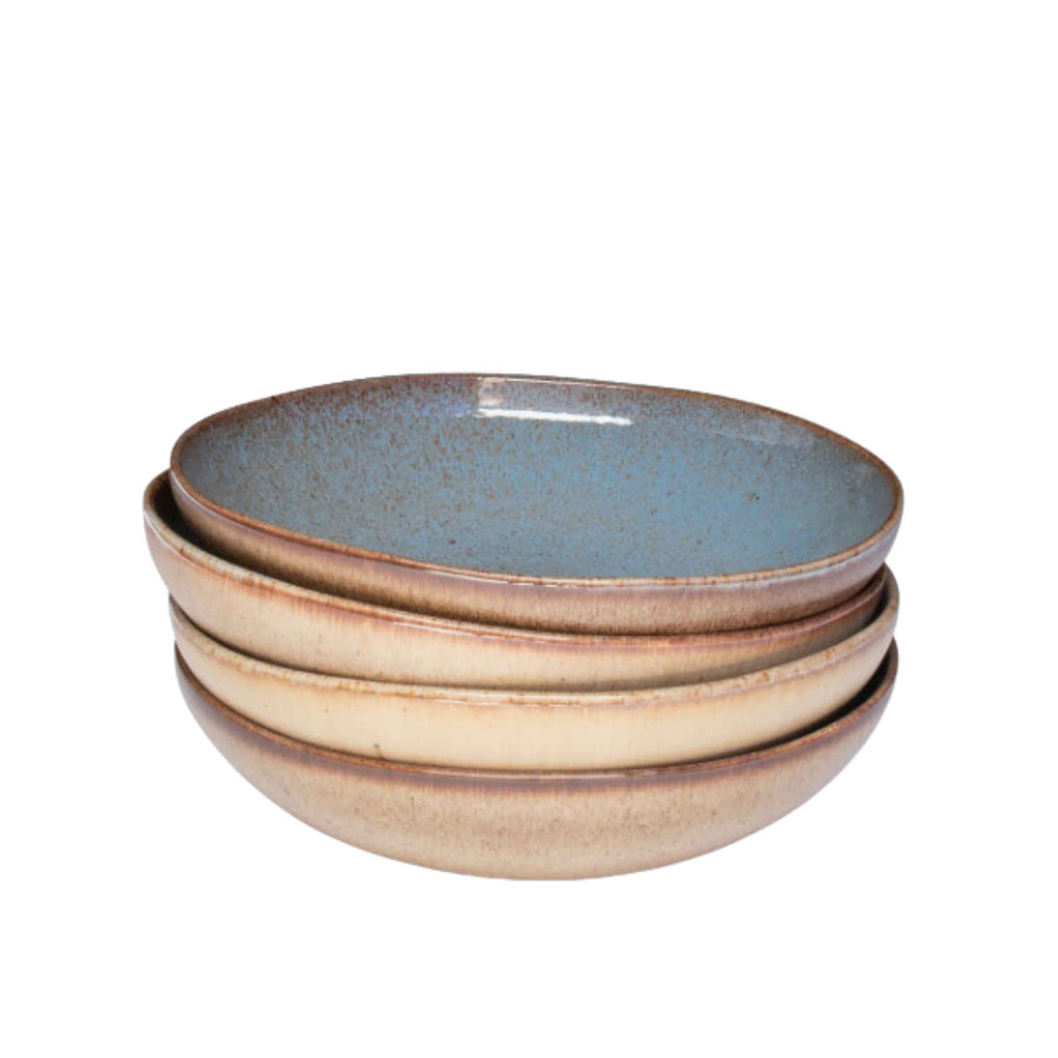 Terrafina Light Blue Flower Seeds Pasta/Soup Plate - Set of 4