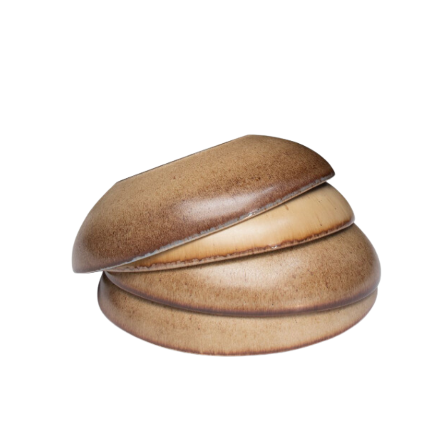 Terrafina Light Blue Flower Seeds Pasta/Soup Plate - Set of 4