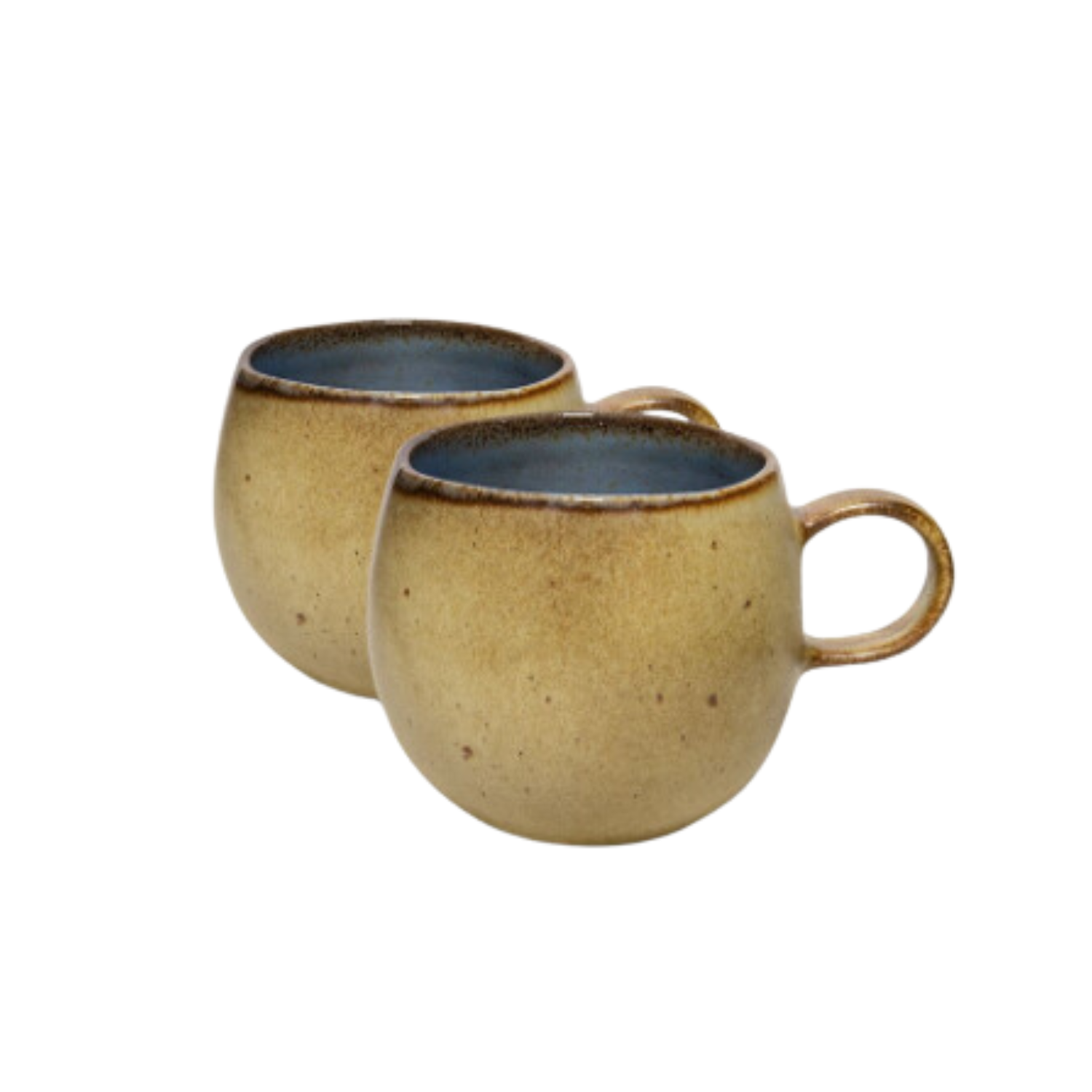 Terrafina Light Blue Flower Seeds Mug - Set of 2