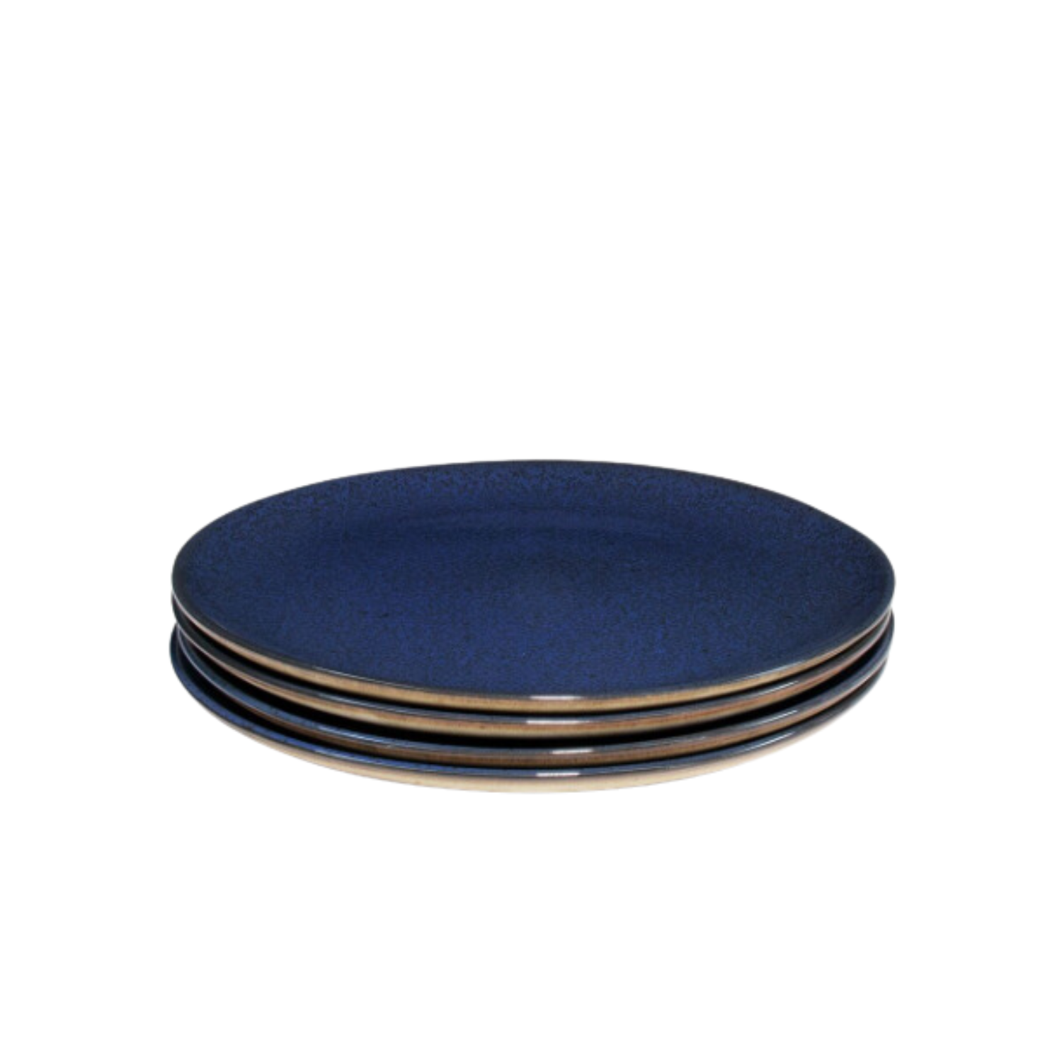 Terrafina Dark Blue Flower Seeds Dinner Plate - Set of 4