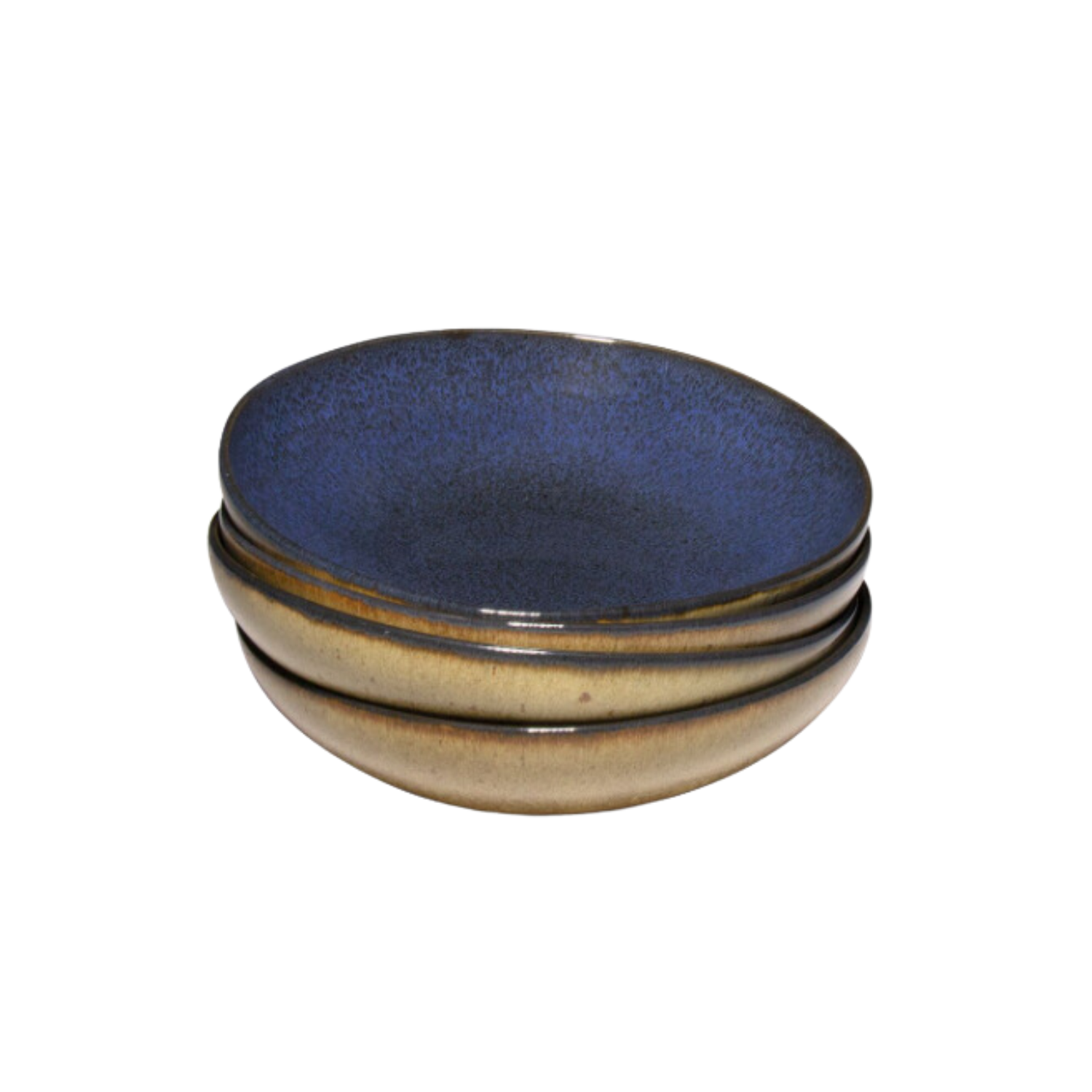 Terrafina Dark Blue Flower Seeds Pasta/Soup Plate - Set of 4