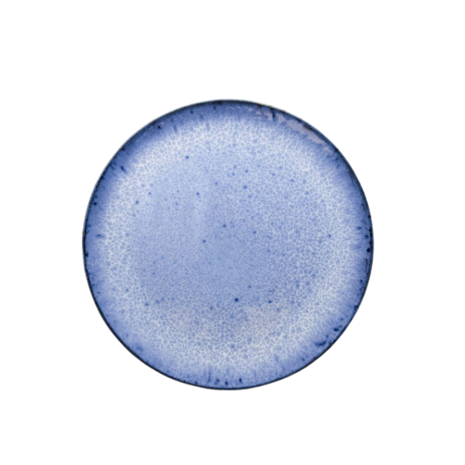 Terrafina Blue Amazonia Dinner Plate - Set of 4