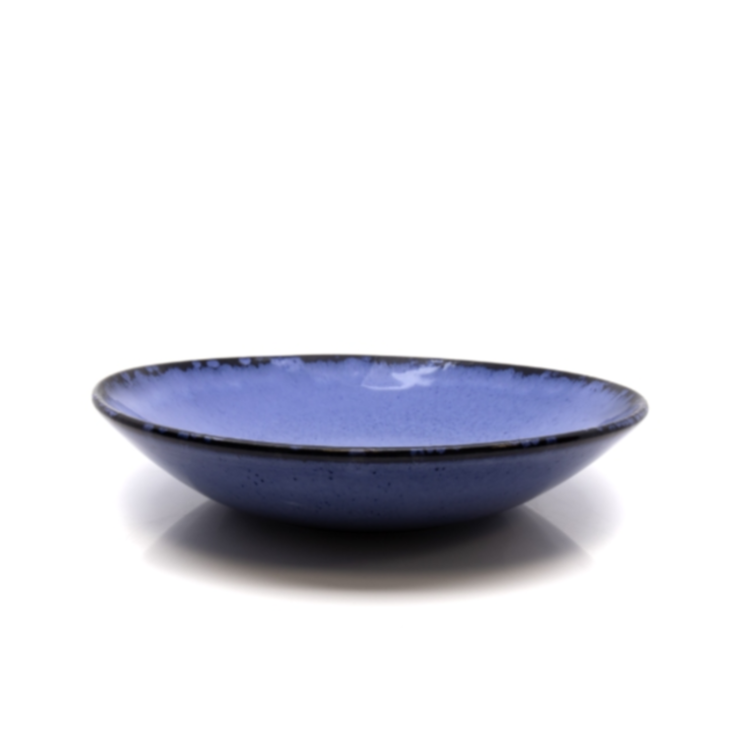 Terrafina Blue Amazonia Pasta/Soup Plate - Set of 4