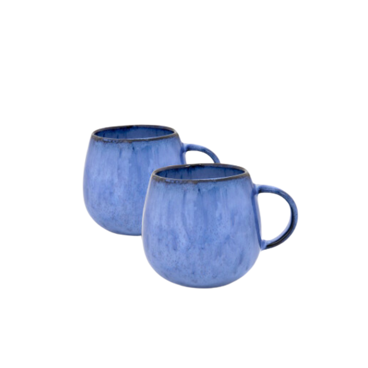 Terrafina Blue Amazonia Mug - Set of 2