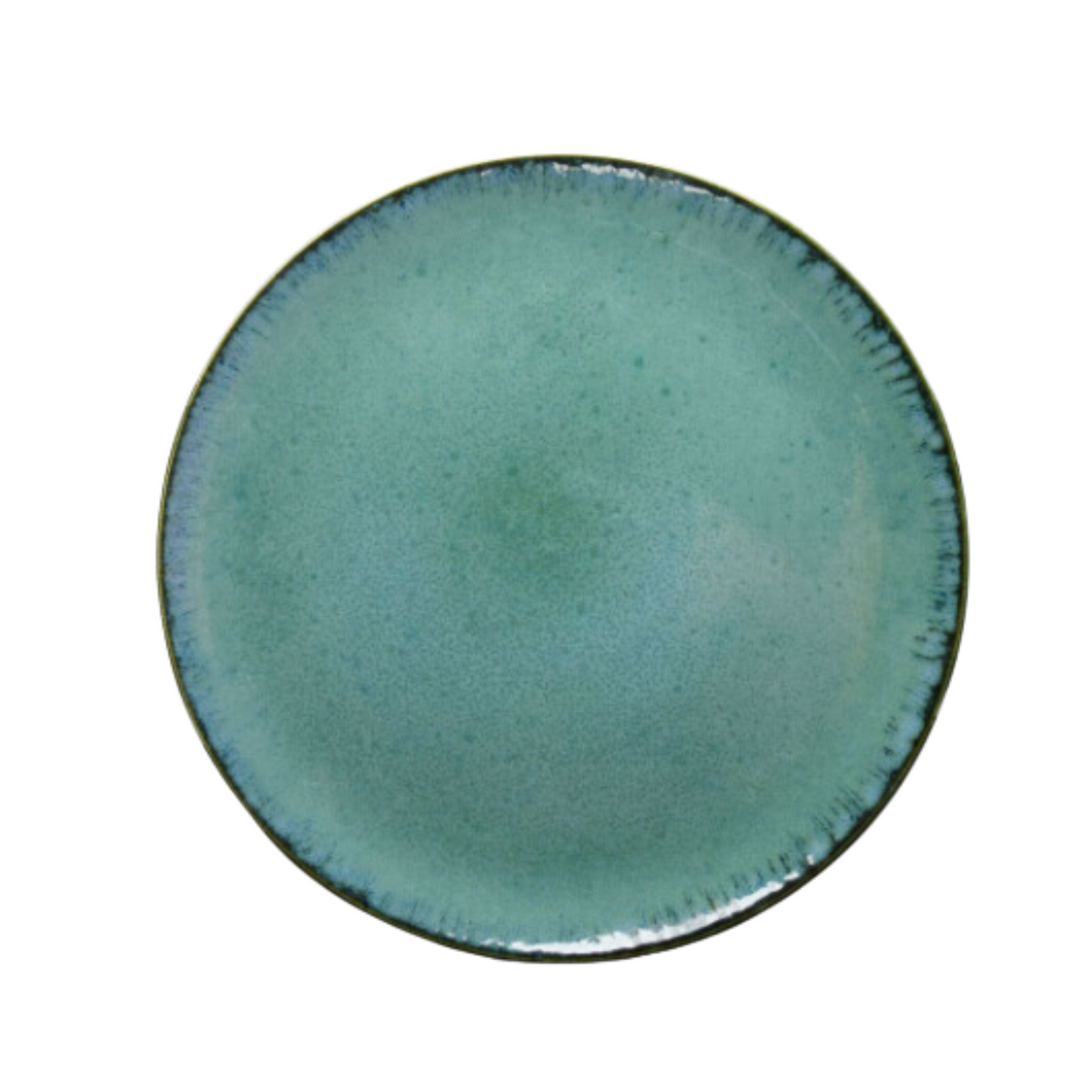 Amazonia Dinner Plate Set 4