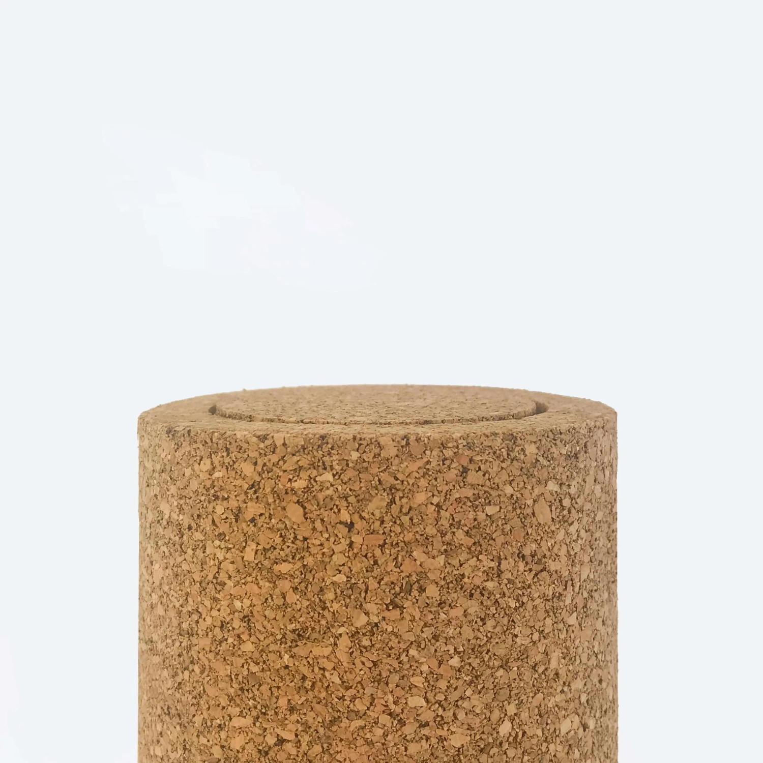 Minimal Cork - Cork Flower Lamp