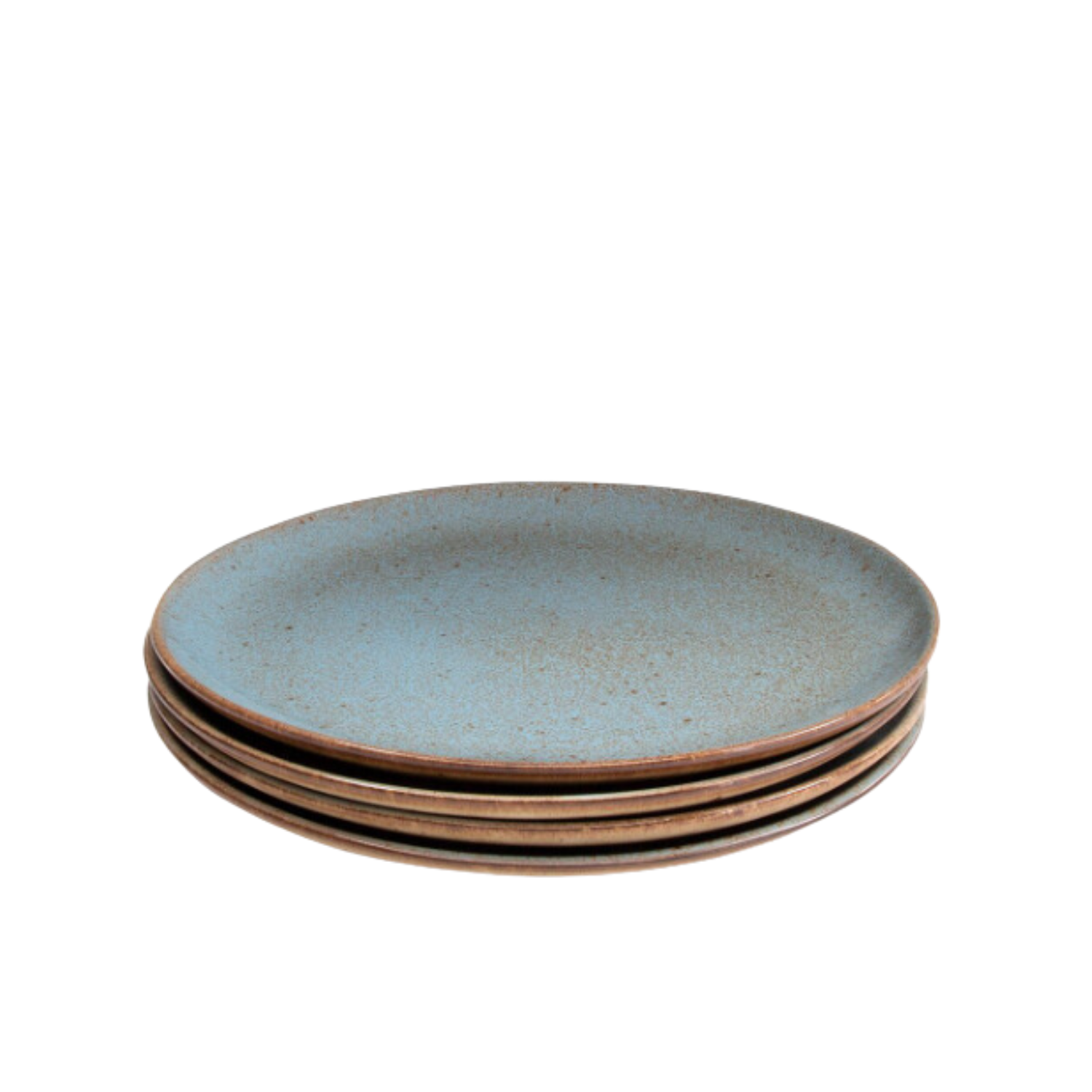 Terrafina Light Blue Flower Seeds Dinner Plate - Set of 4