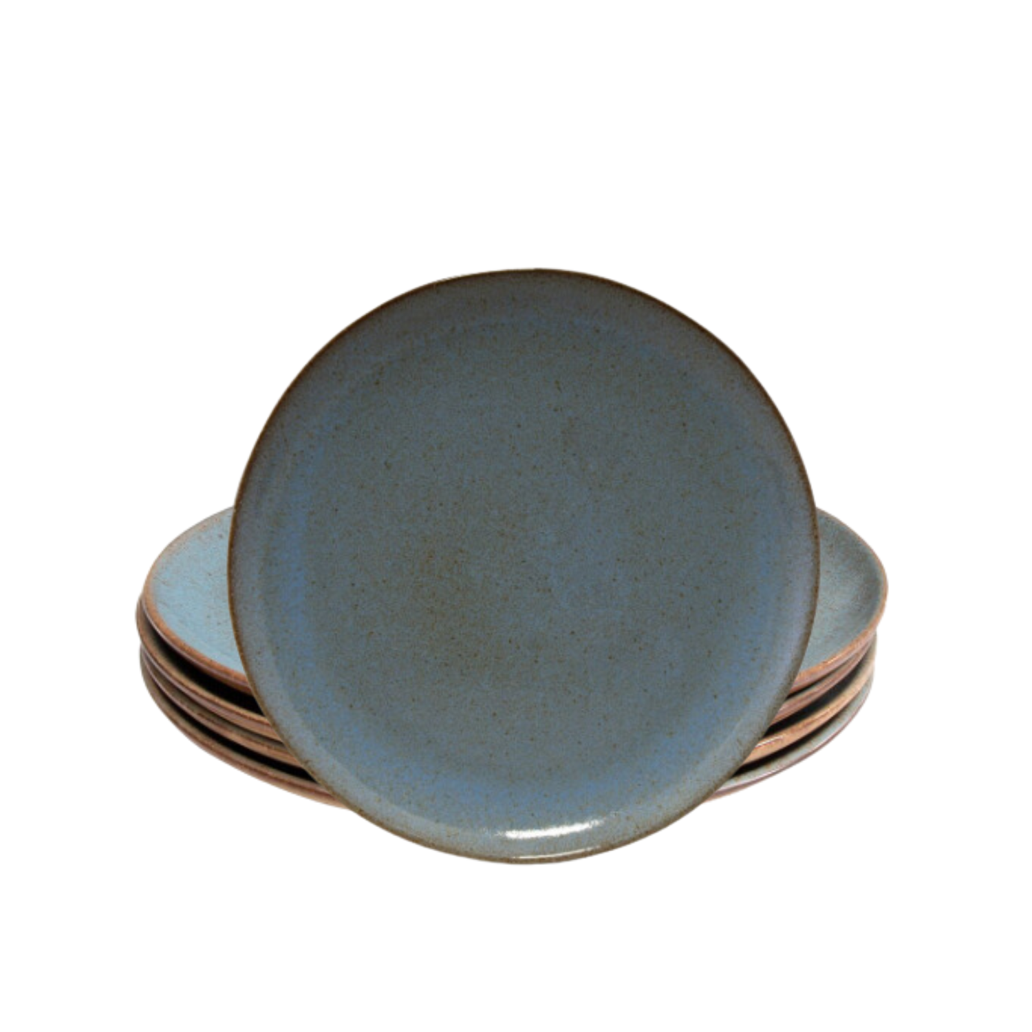 Terrafina Light Blue Flower Seeds Dinner Plate - Set of 4