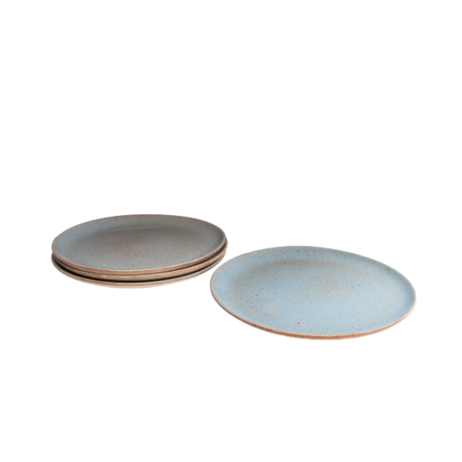 Terrafina Light Blue Flower Seeds Dinner Plate - Set of 4