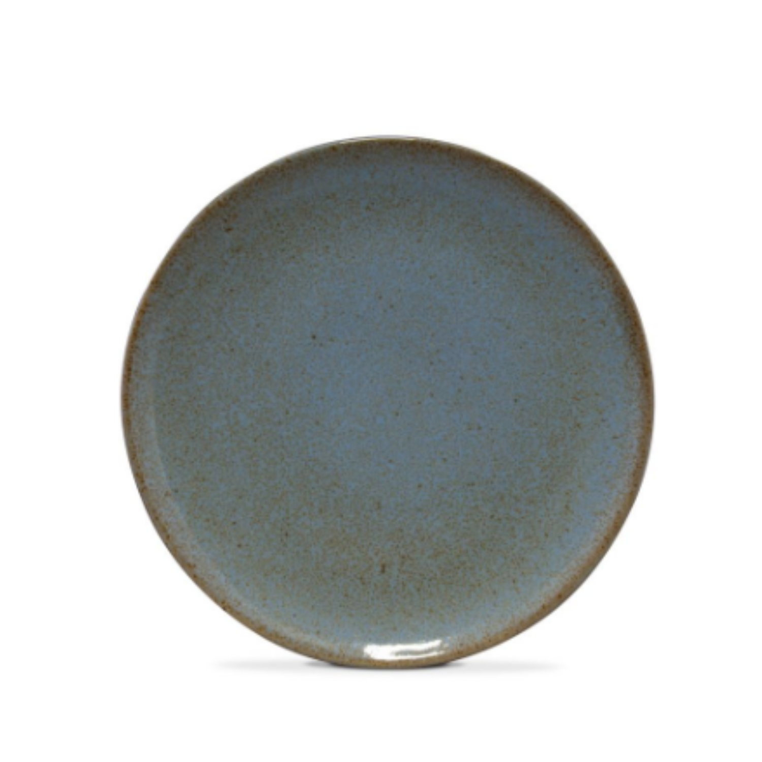 Terrafina Light Blue Flower Seeds Salad Plate - Set of 4