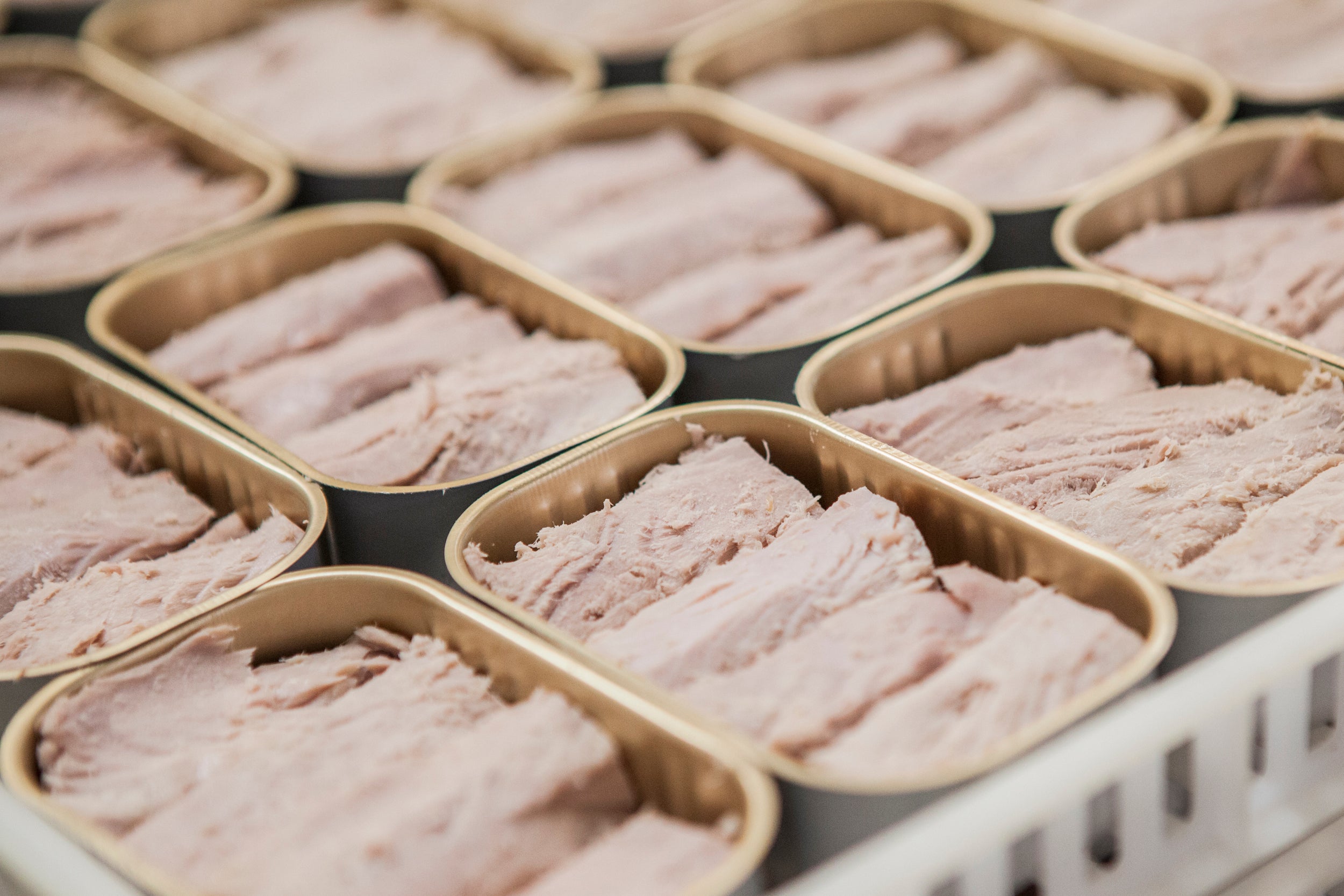 Santa Catarina Gourmet Tuna Fillets in Olive Oil with Pennyroyal