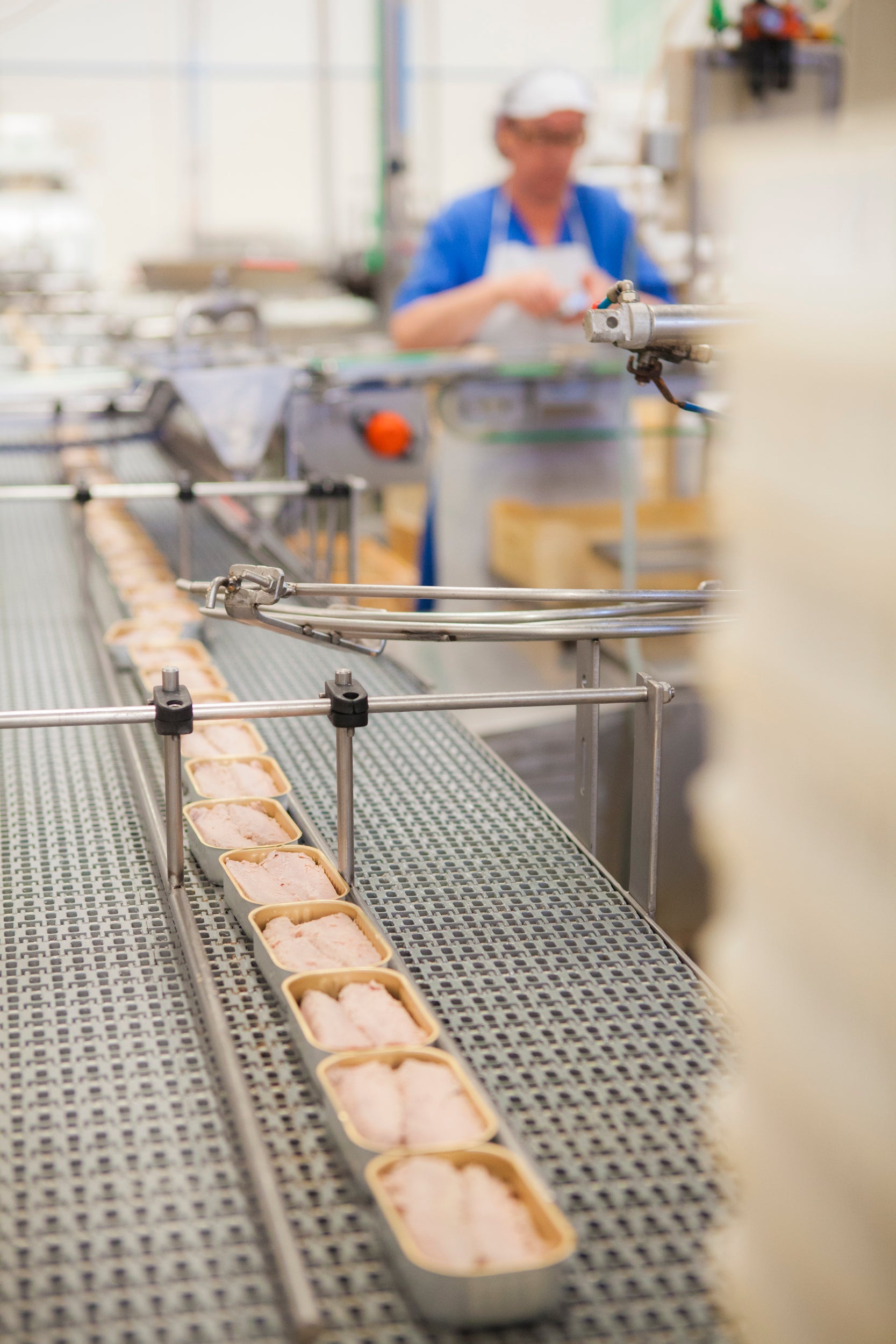 Santa Catarina Gourmet Tuna Fillets with Azorean Pepper and Olive Oil