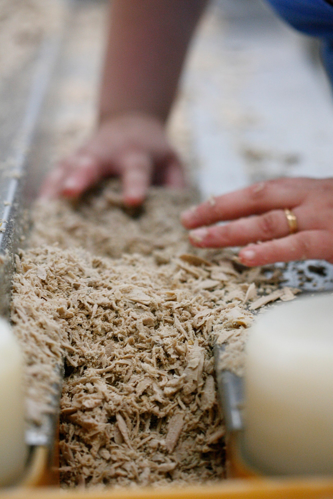 Santa Catarina Solid Tuna in Sunflower Oil - 375g