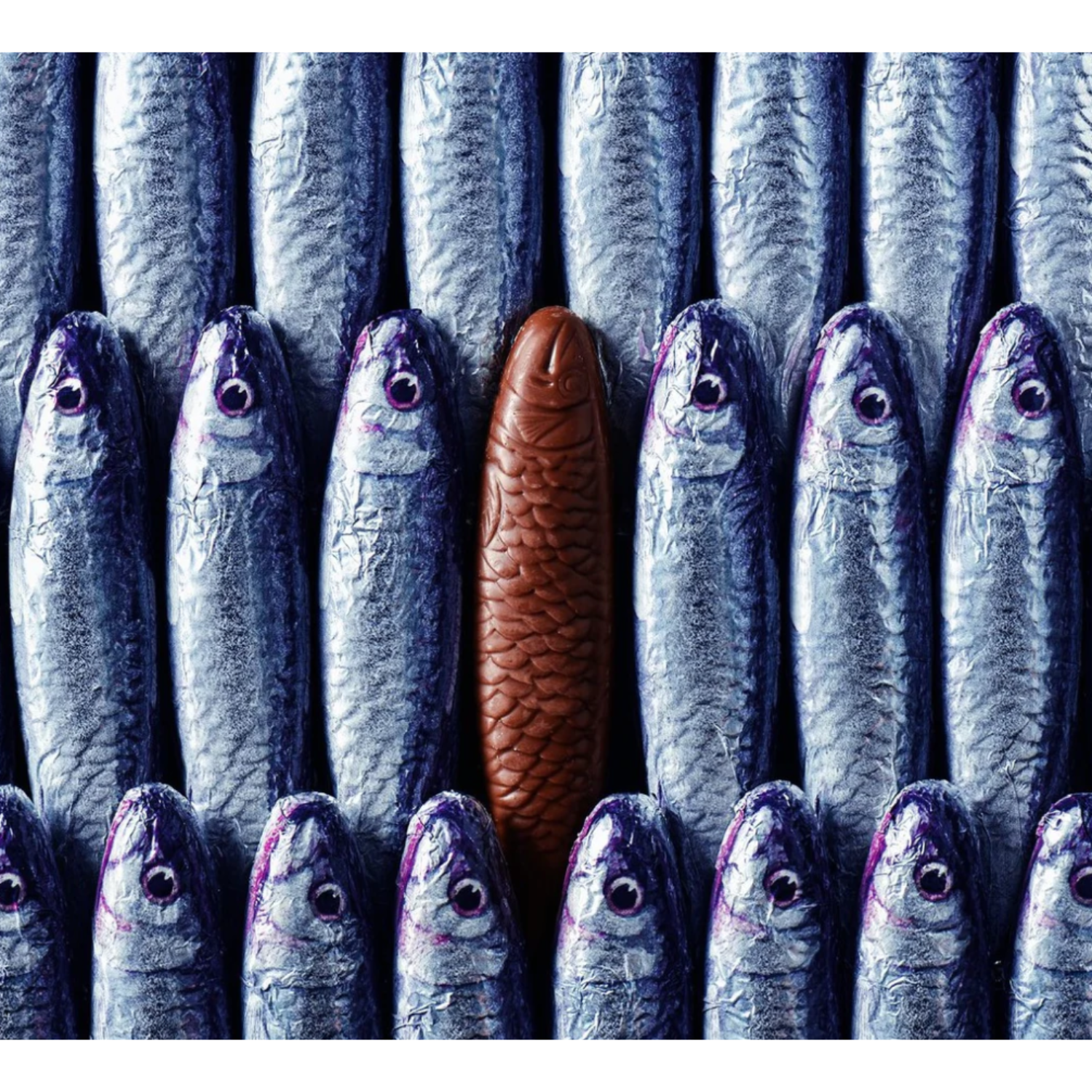 Cluizel Chocolate Sardines in Net